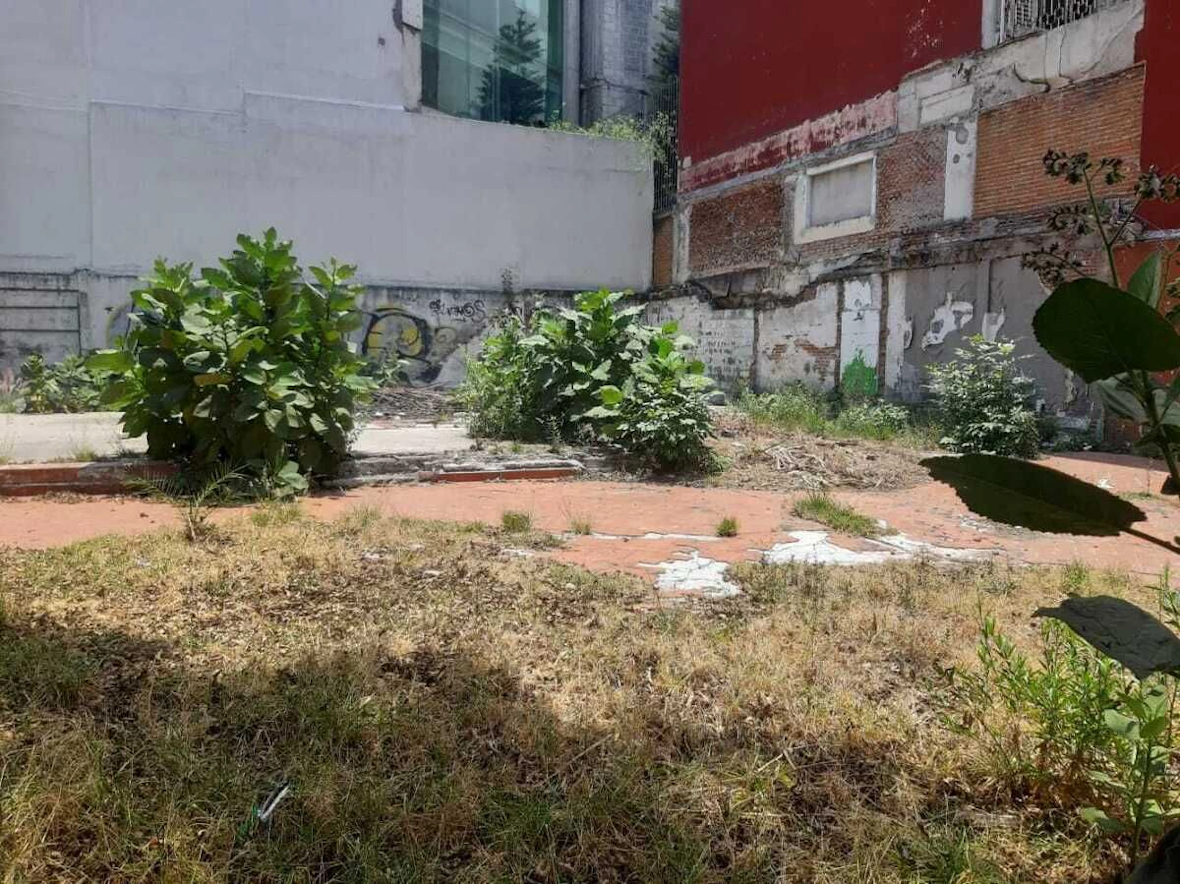 Terreno Spot2