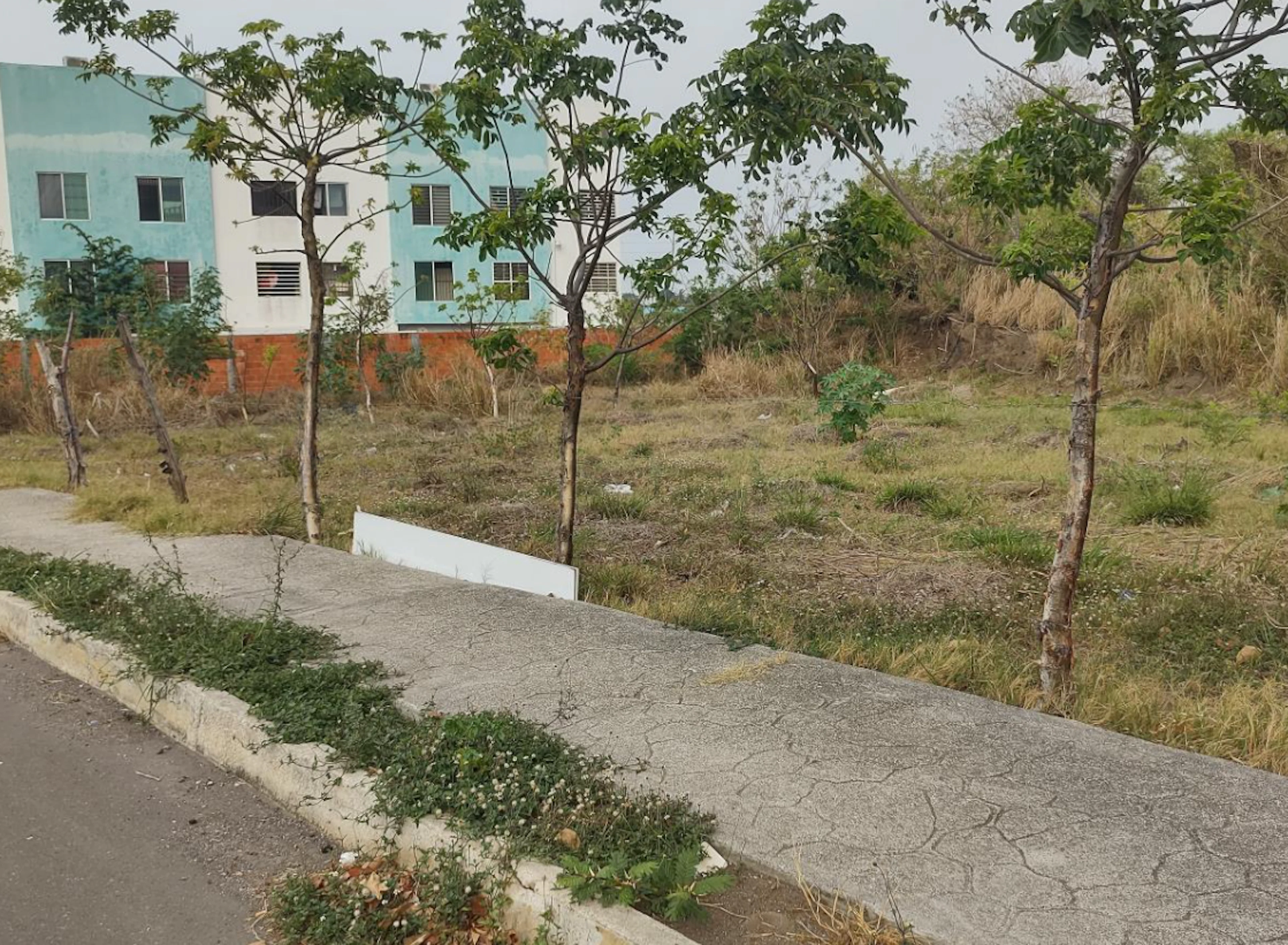 Terreno Spot2