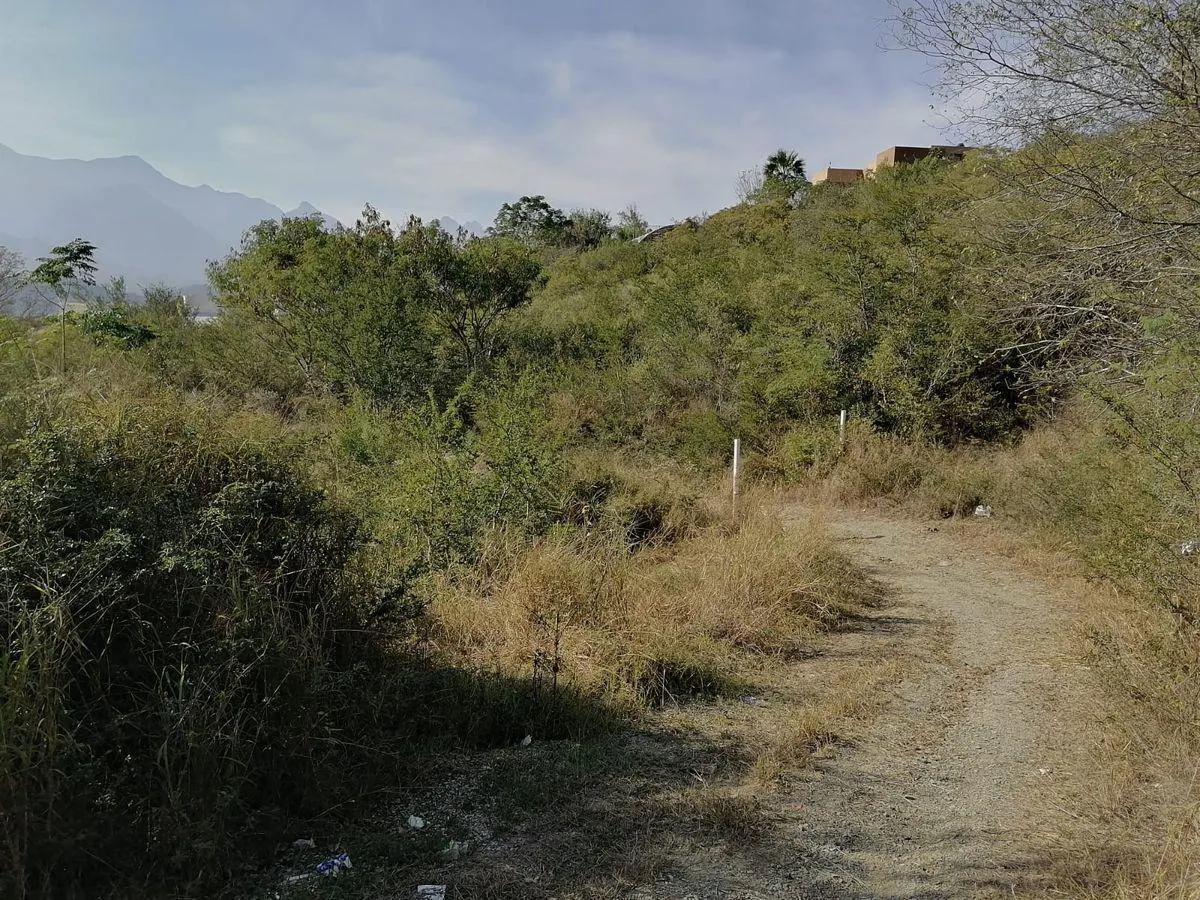 Terreno Spot2