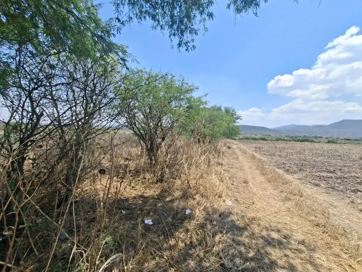 Terreno Spot2