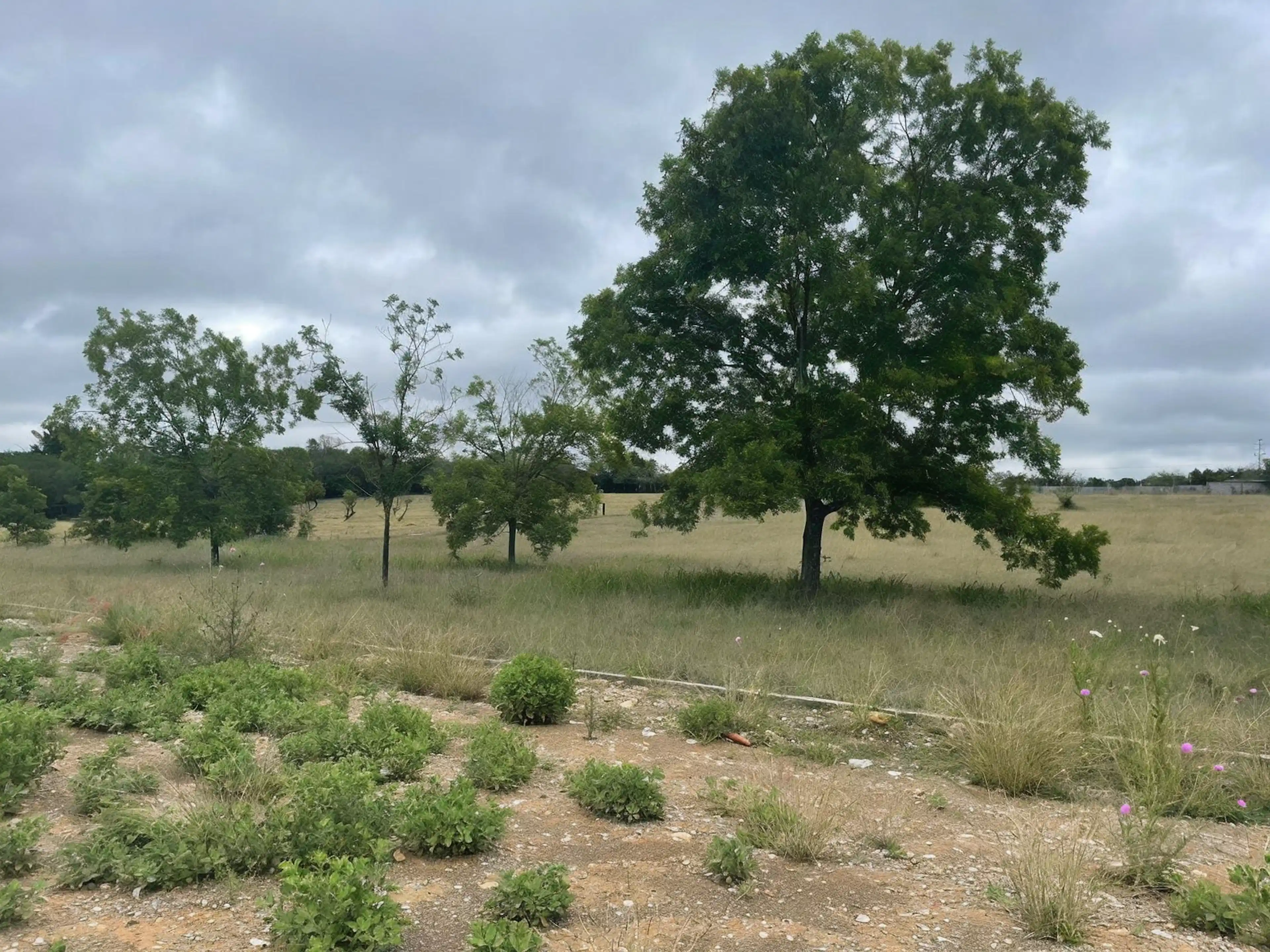 Venta Terreno De 2,245 M2 - Carretera A Rayones Camino A Bioparque En Montemorelos