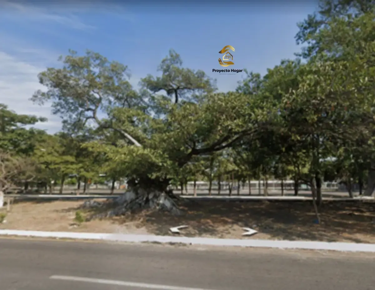 Terreno Spot2
