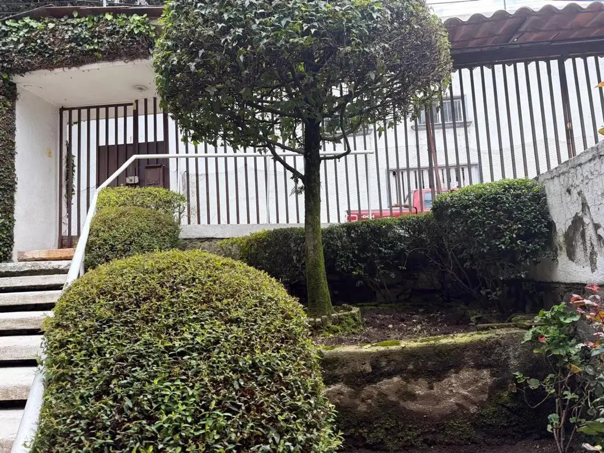 Terreno Spot2