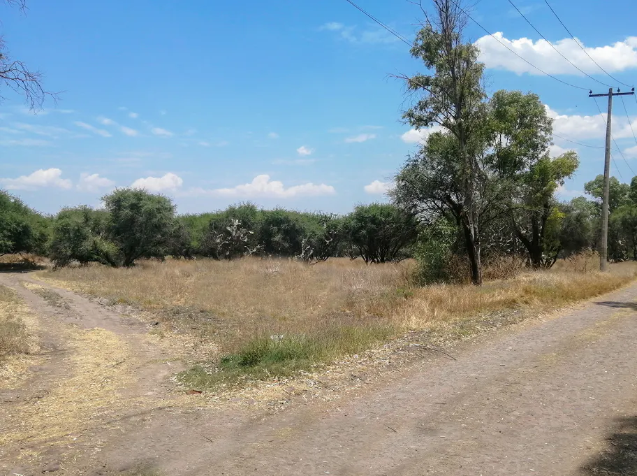 Terreno Spot2