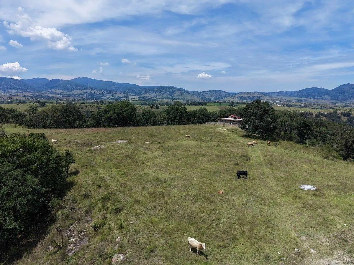 Terreno Spot2