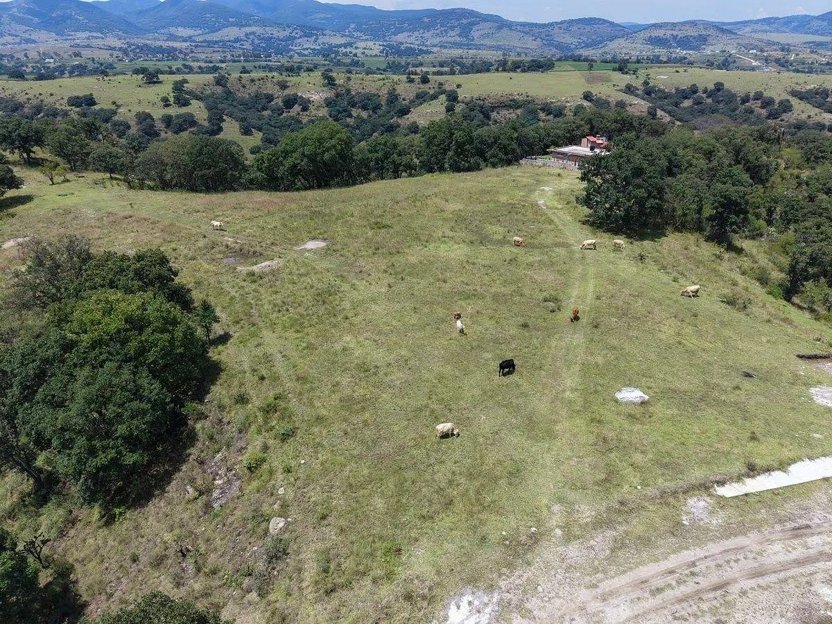 Terreno Spot2
