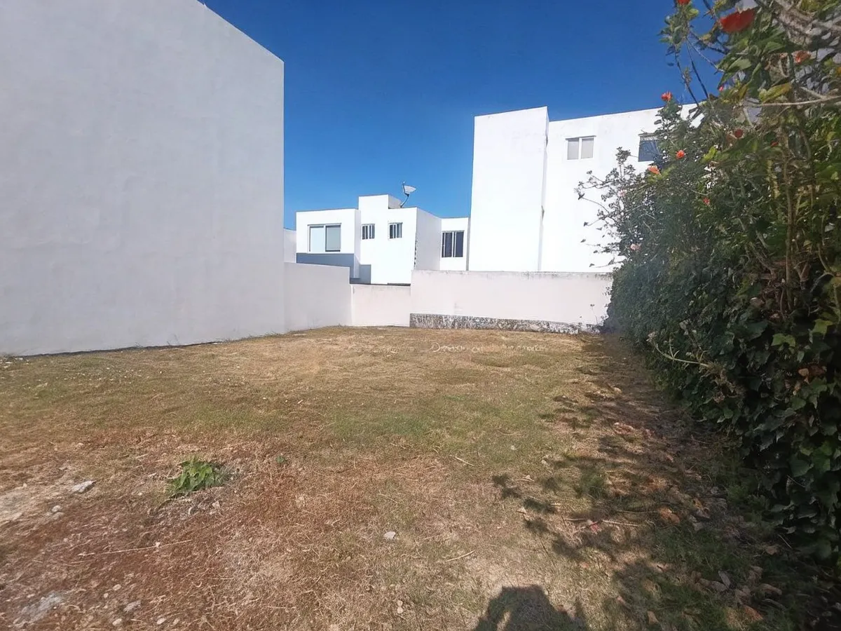 Terreno Spot2