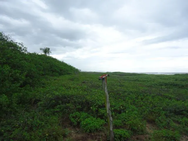 Terreno Spot2