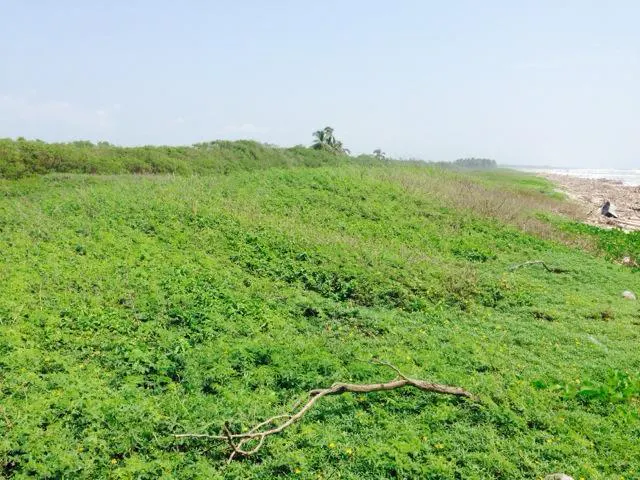 Terreno Spot2
