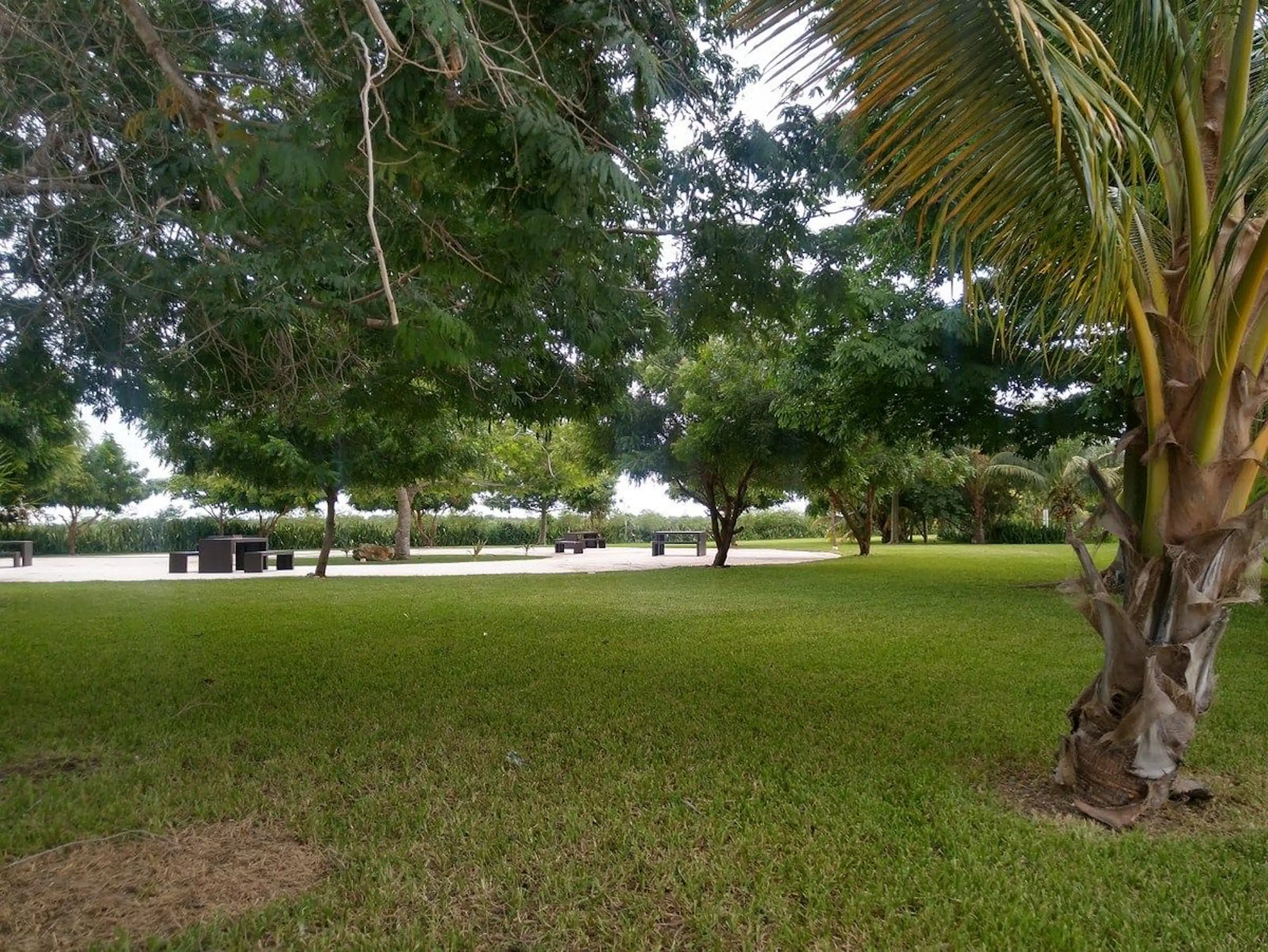 Terreno En Venta En Residencial Carretera Merida Progreso Yucatan