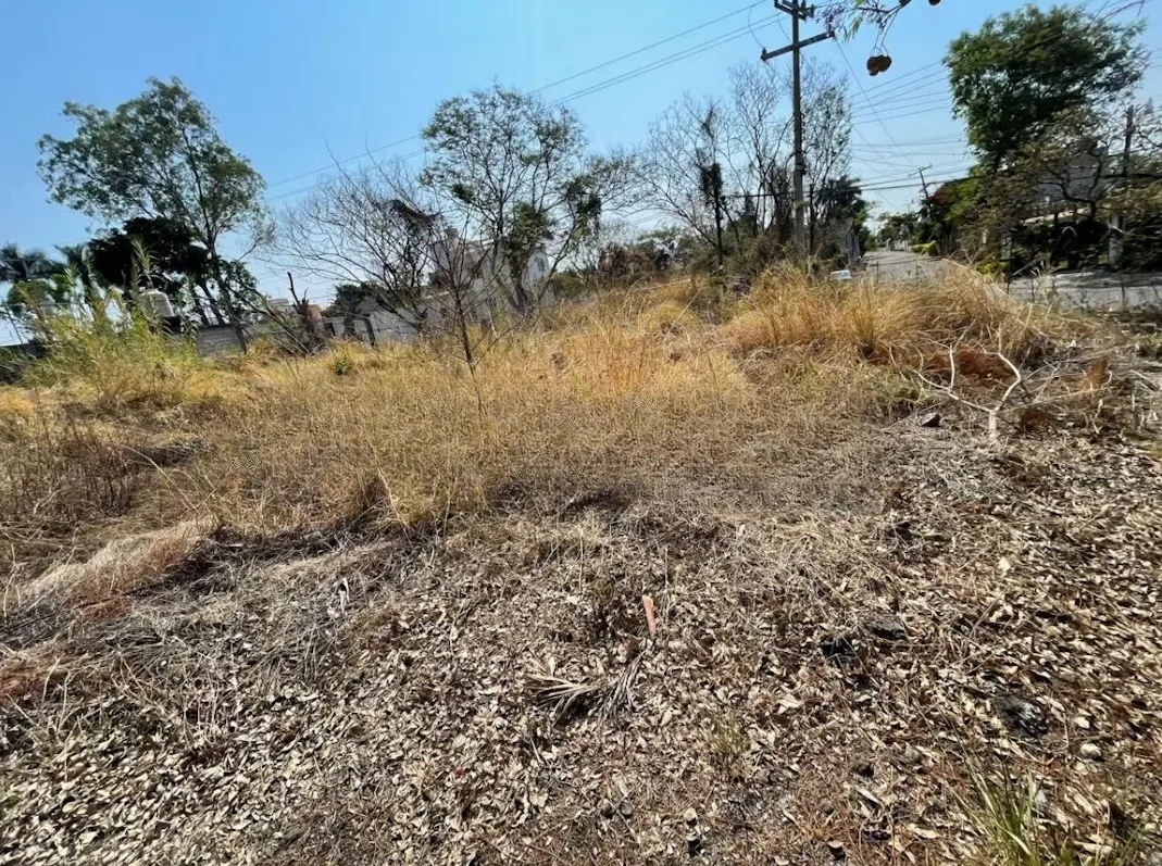 Terreno Spot2