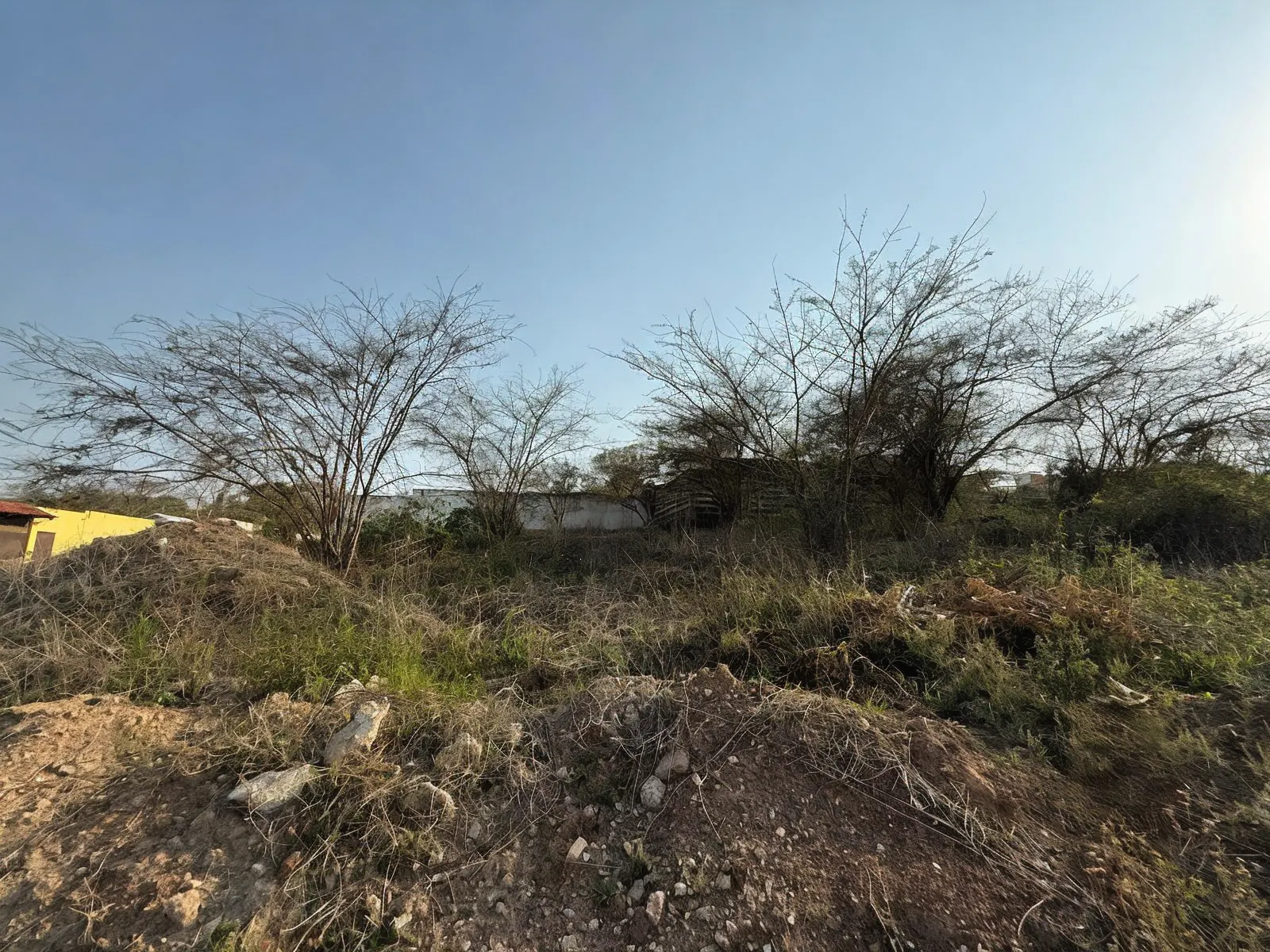 Terreno Spot2