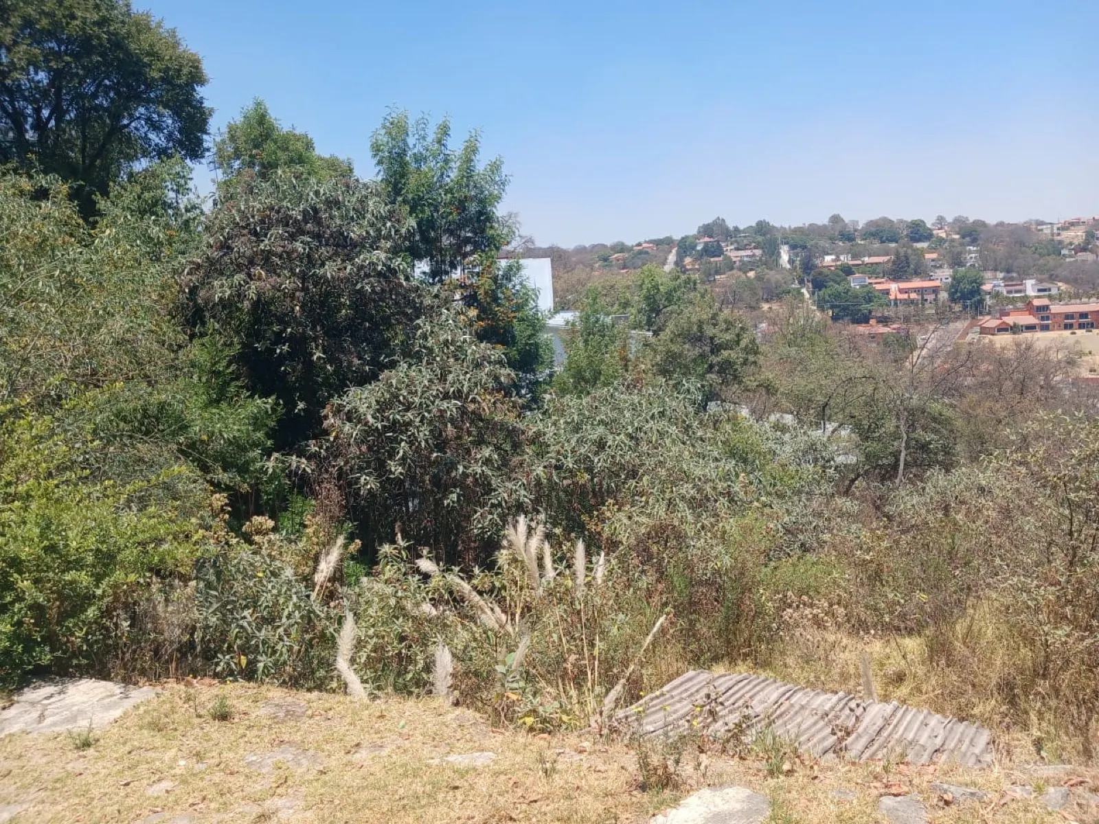 Terreno Spot2