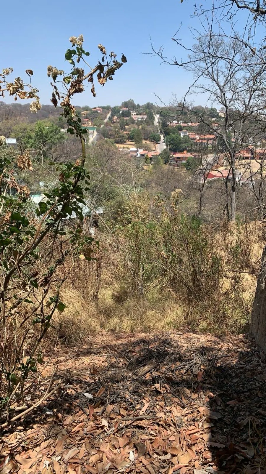Terreno Spot2