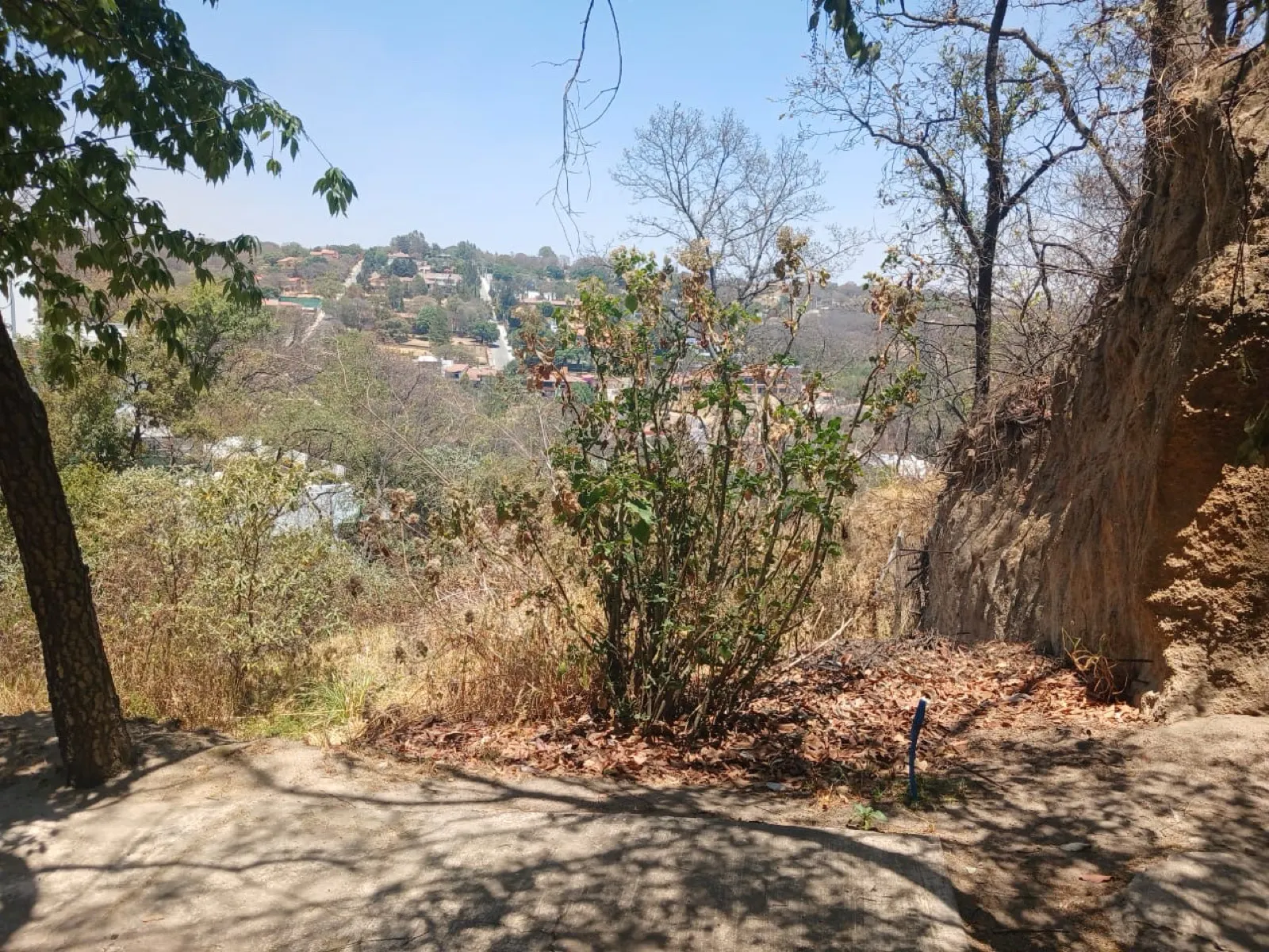 Terreno Spot2