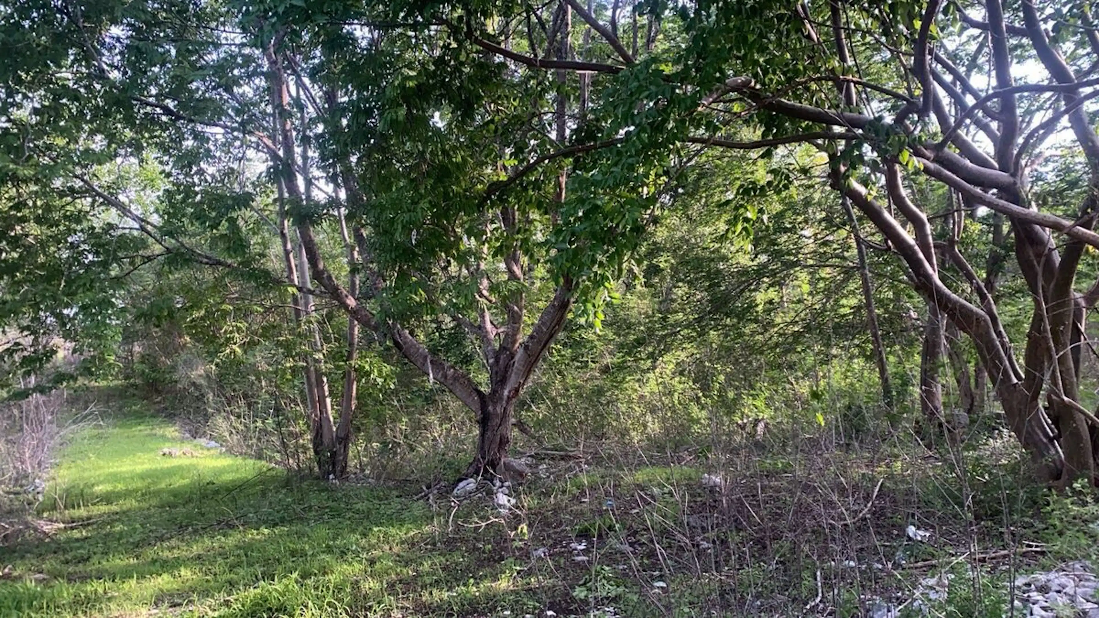 Terreno en Yaxcopoil