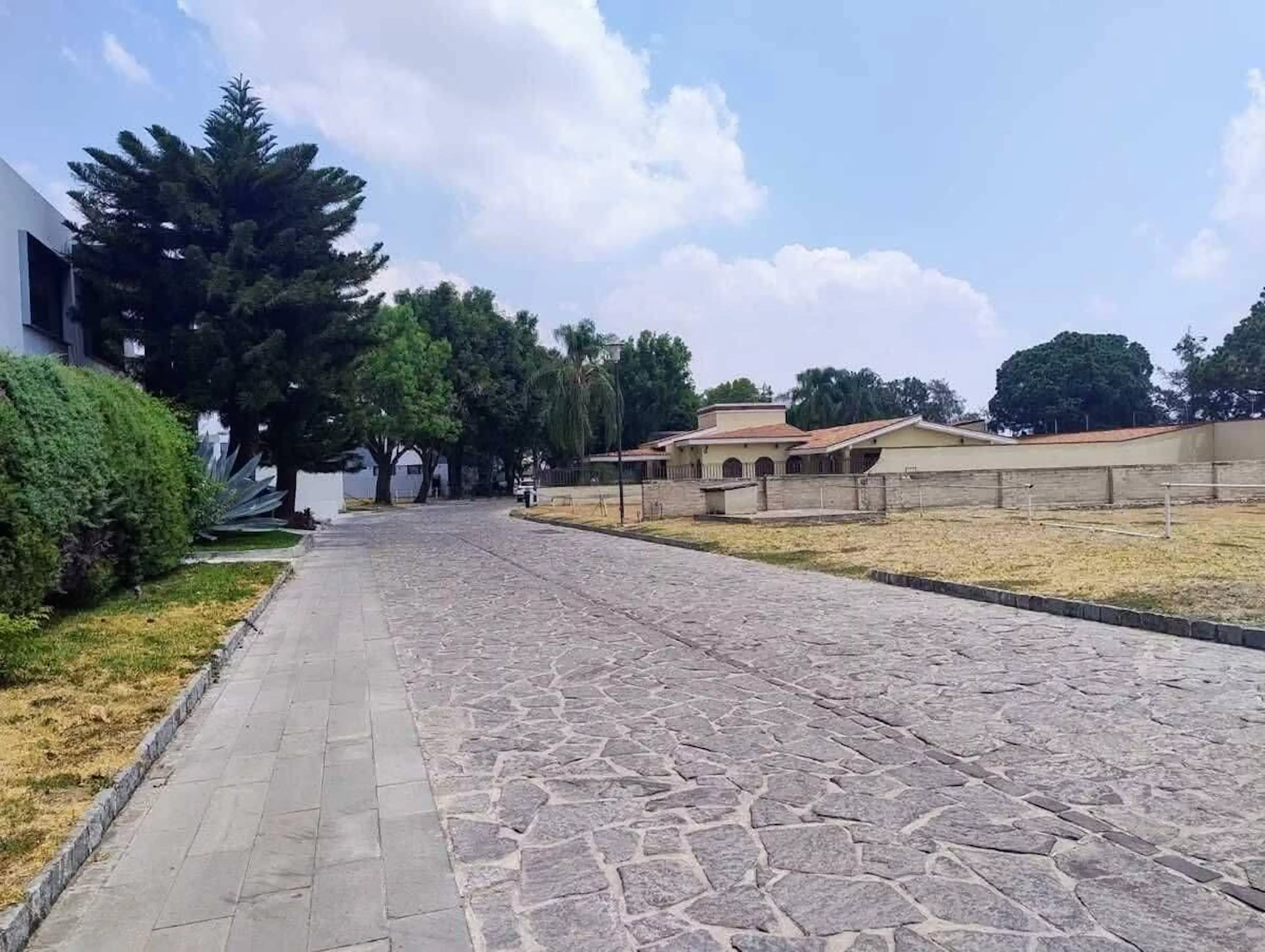 Terreno en Fraccionamiento Los Olivos