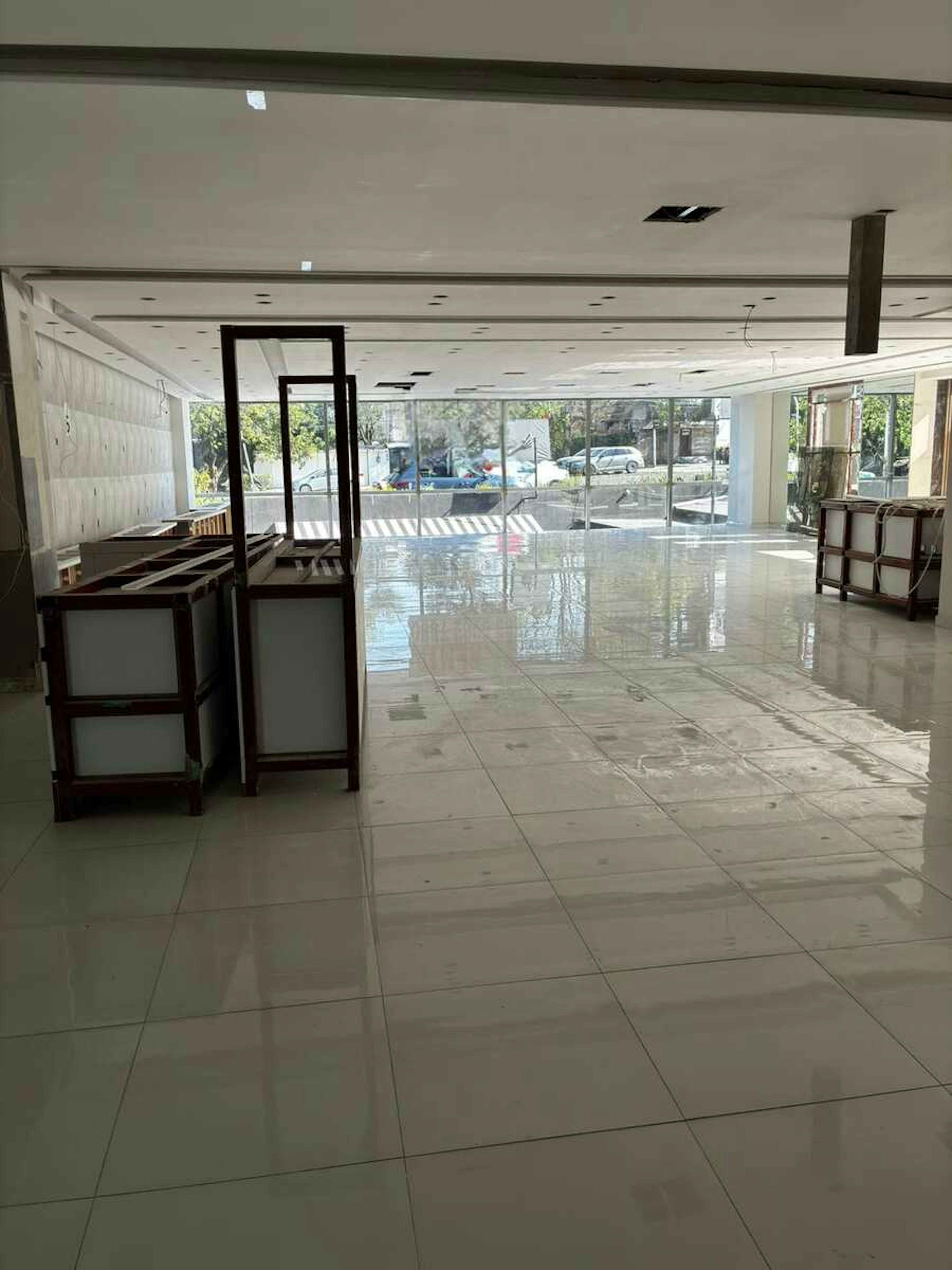 Avenida Paseo De Las Palmas