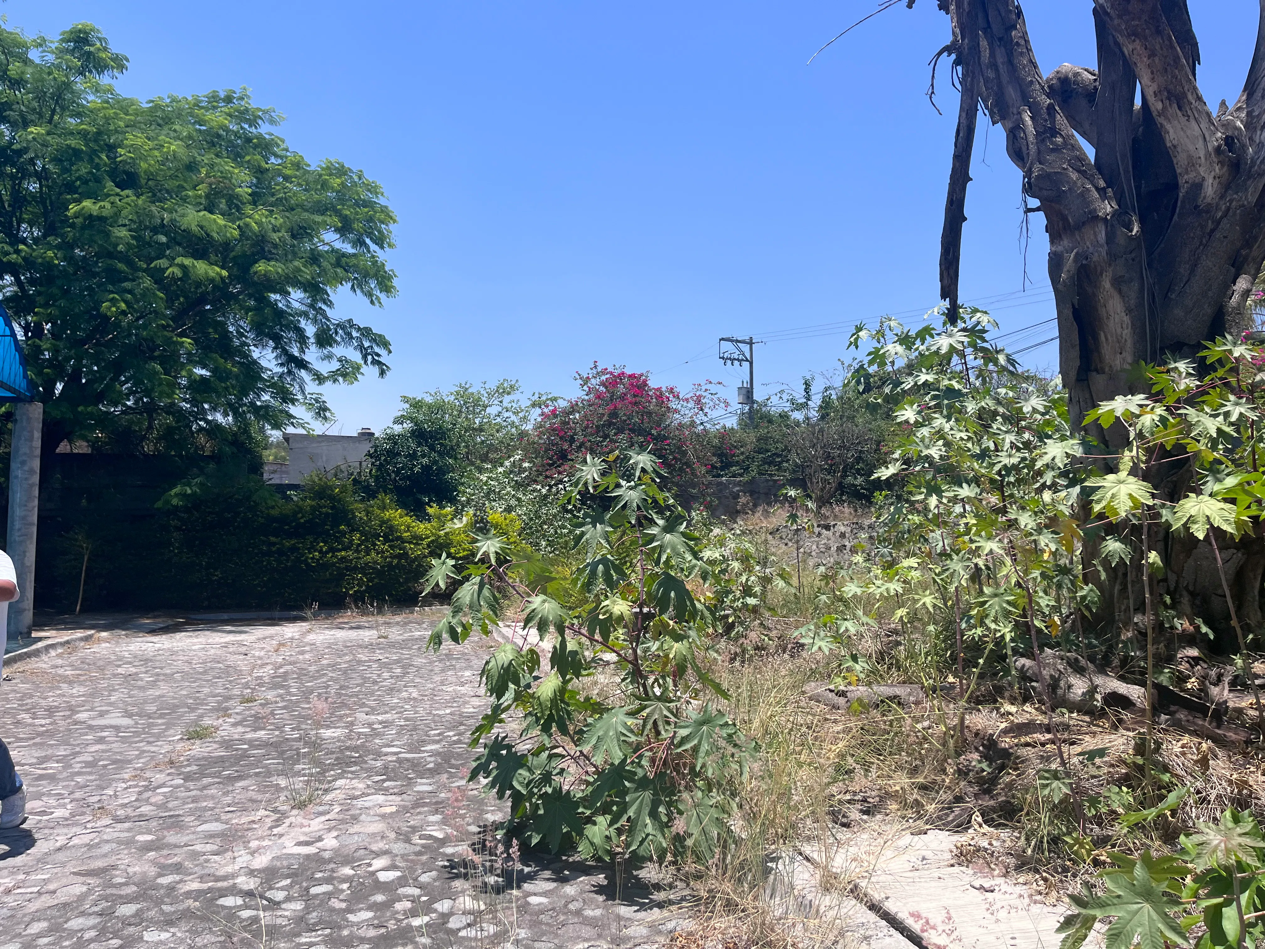 Terreno Spot2