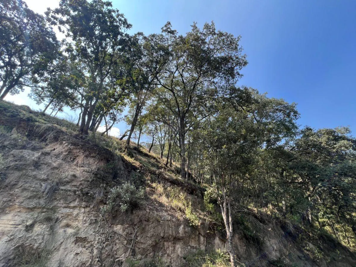 Terreno Spot2