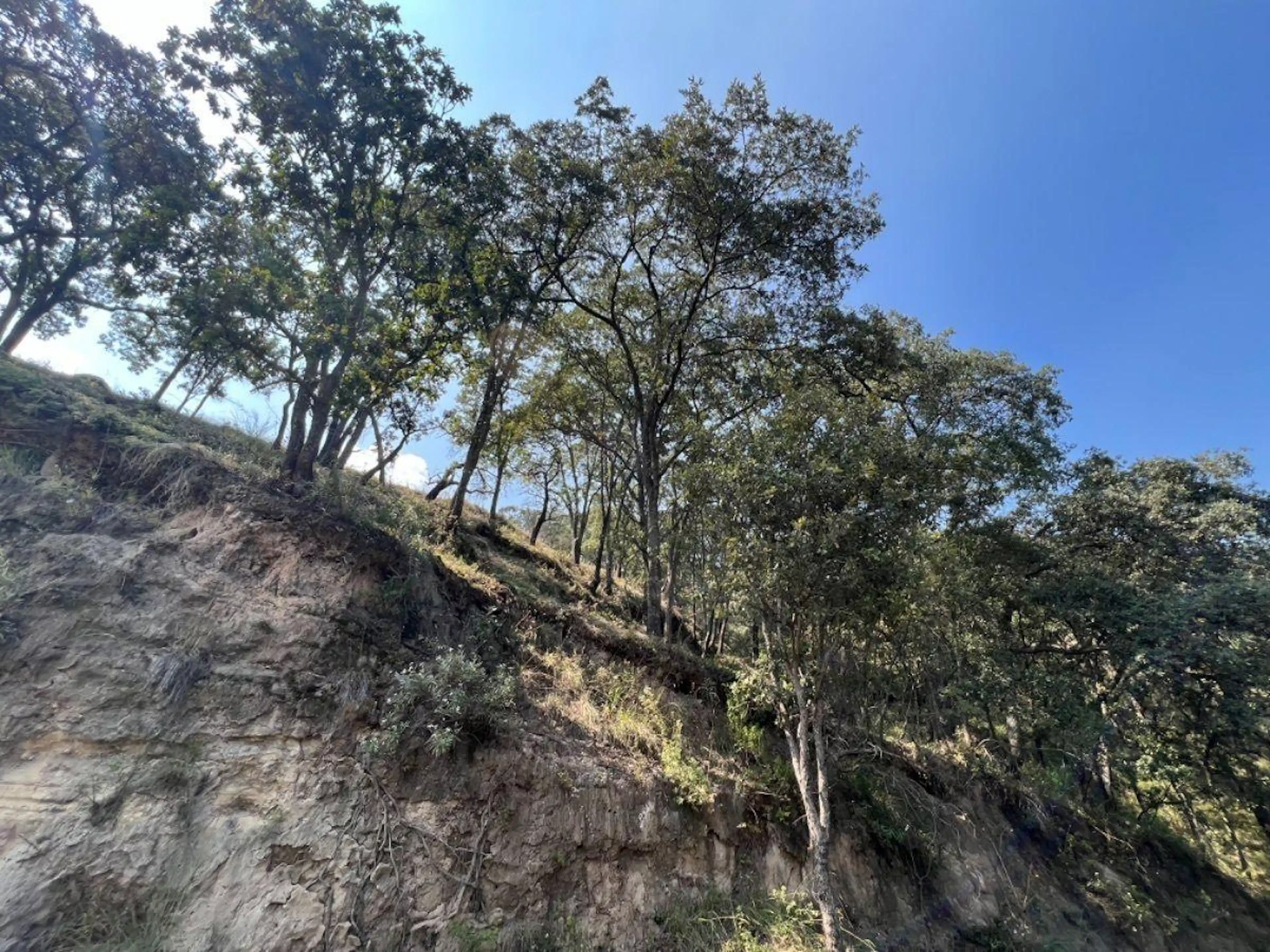 VENTA DE TERRENO EN FRACC. CAMPESTRE LT. 57 MZ 11, VILLA DEL CARBÓN