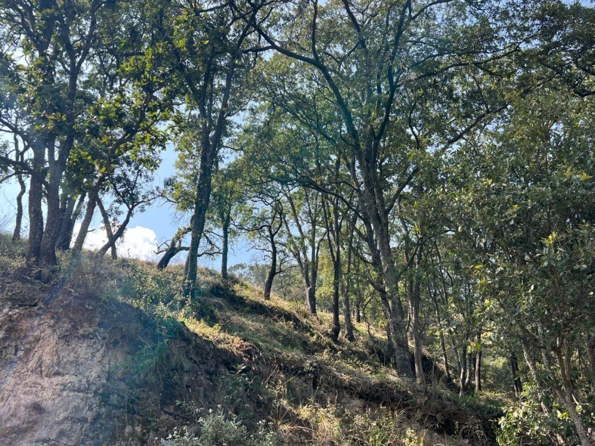 Terreno Spot2