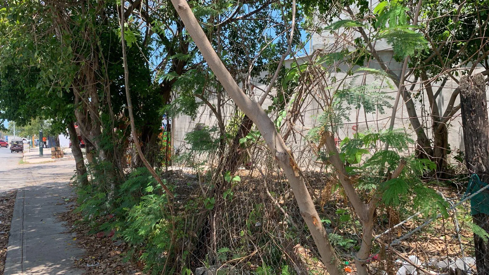 Terreno Spot2