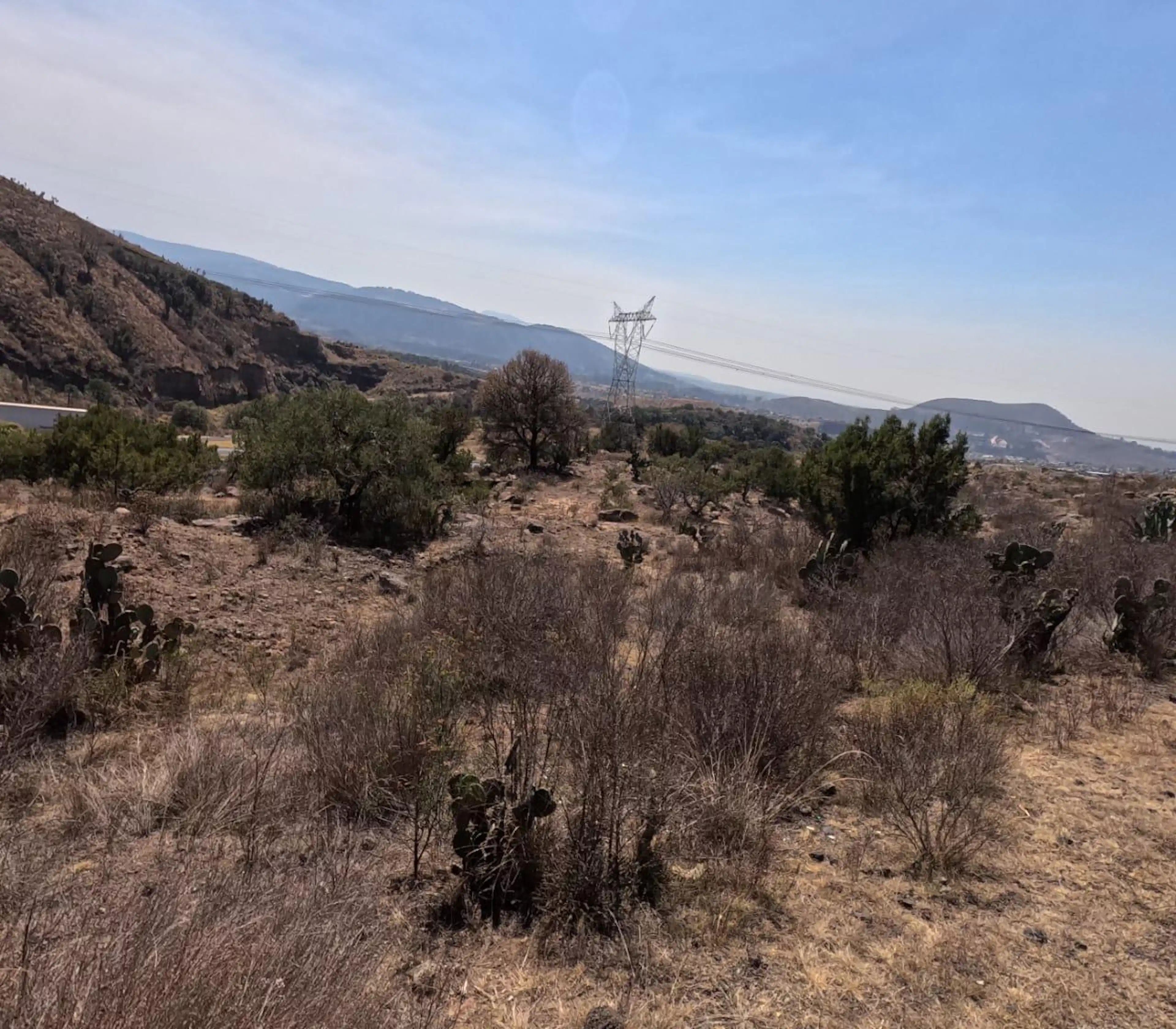 Terreno En Zona Basáltica