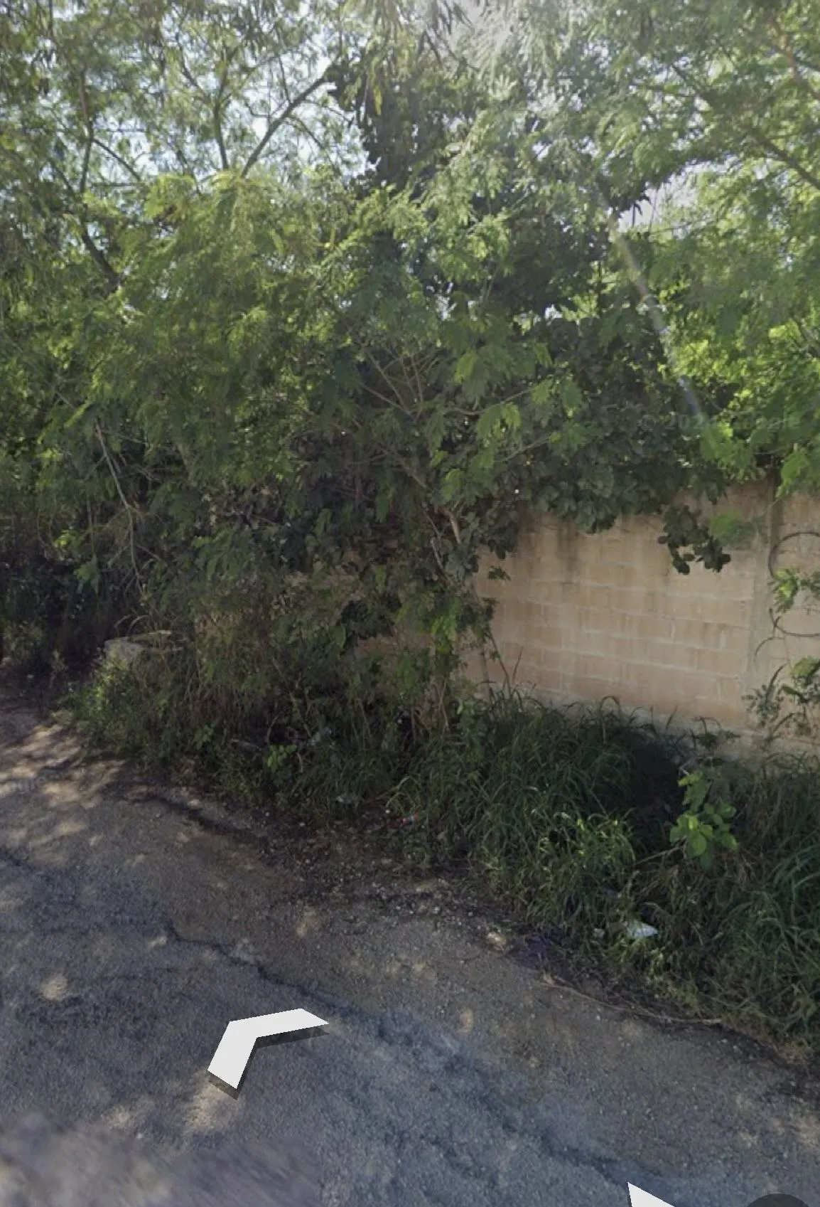 Terreno Spot2