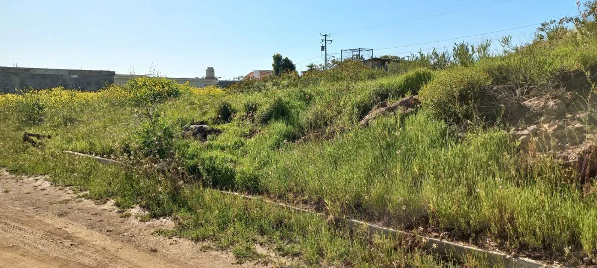 Terreno Spot2