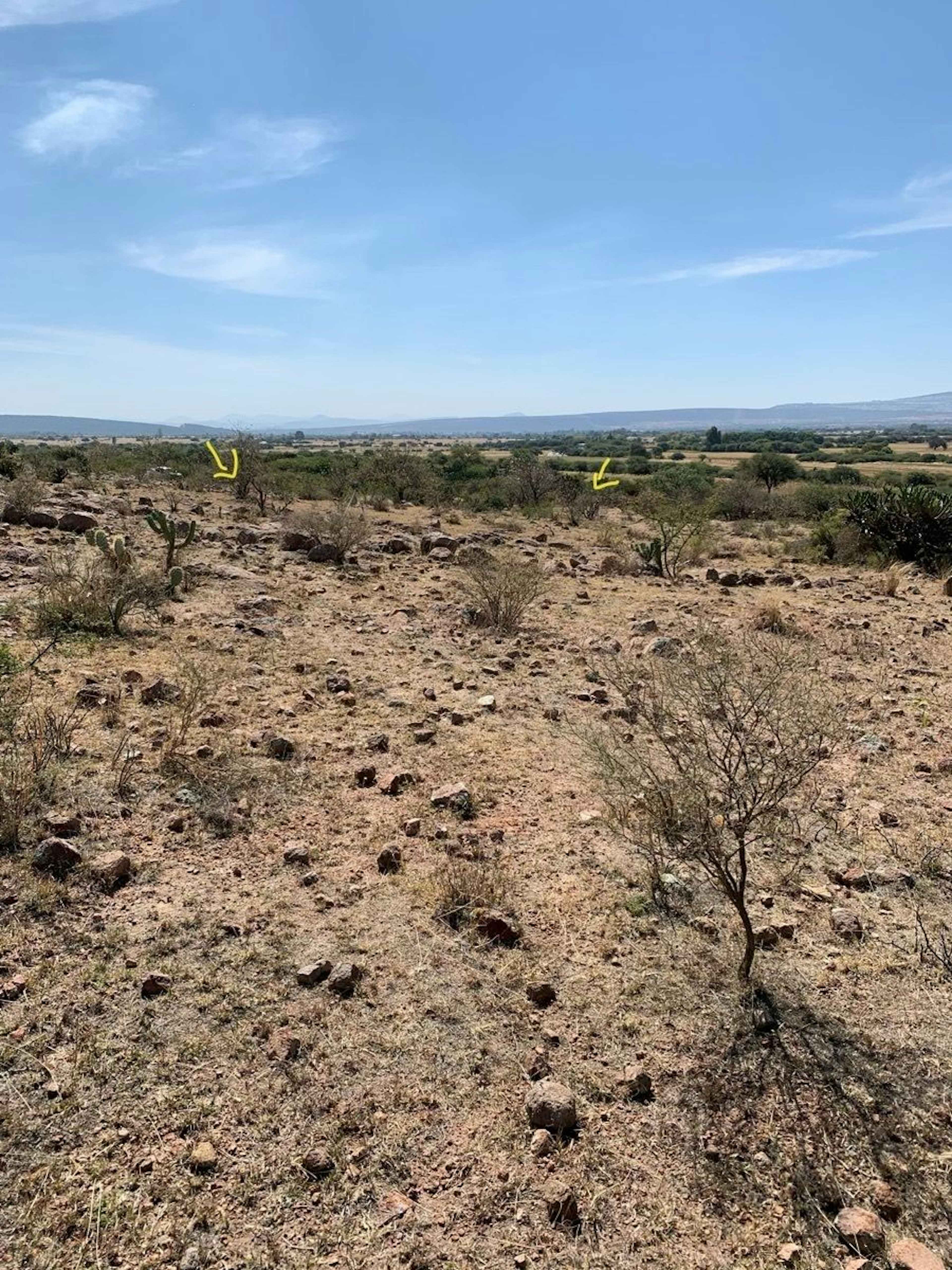 Terreno En Venta En Calle Cristo Rey