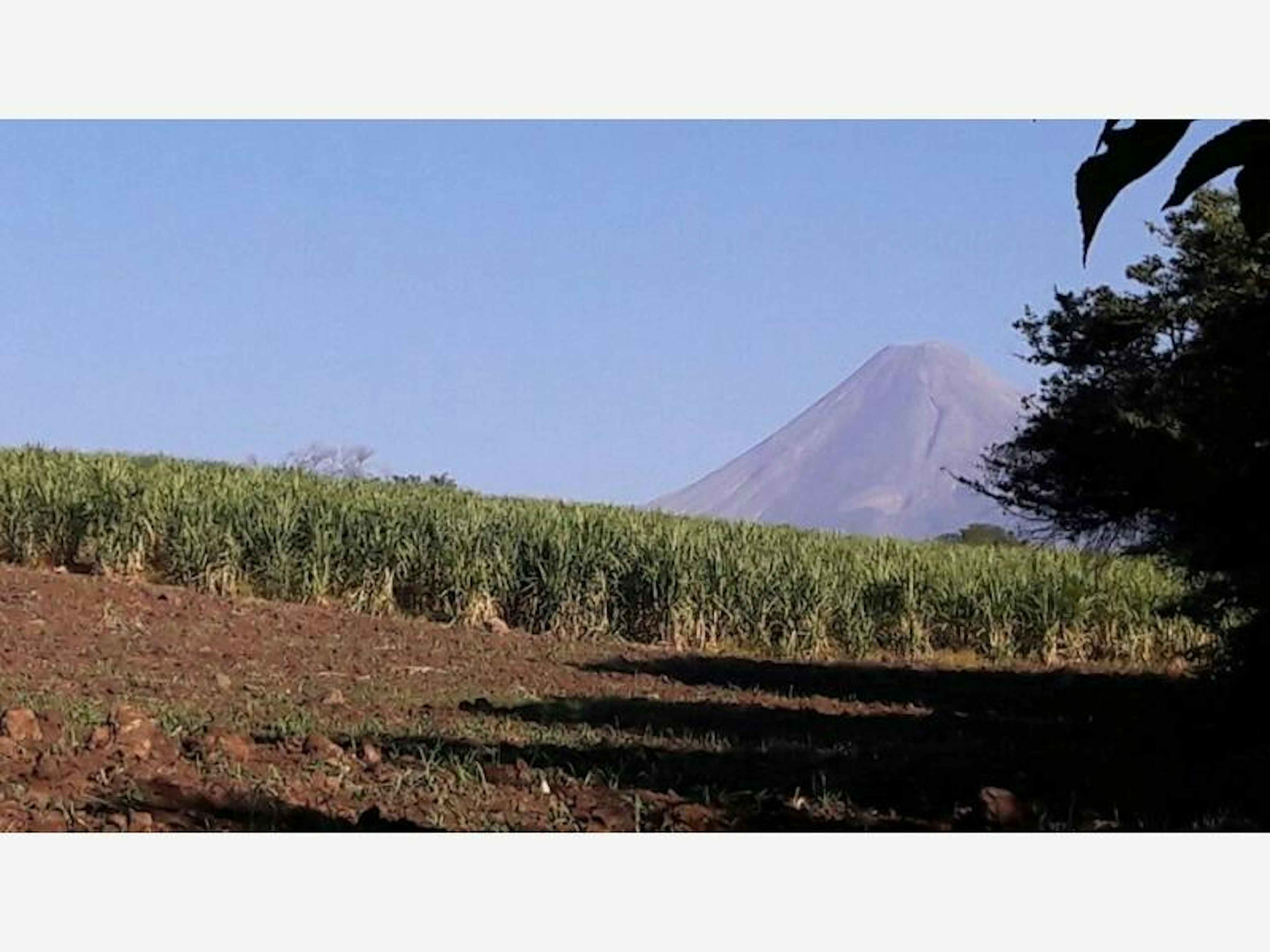 Terreno En Venta En Cuauhtemoc, Cuauhtémoc, Colima