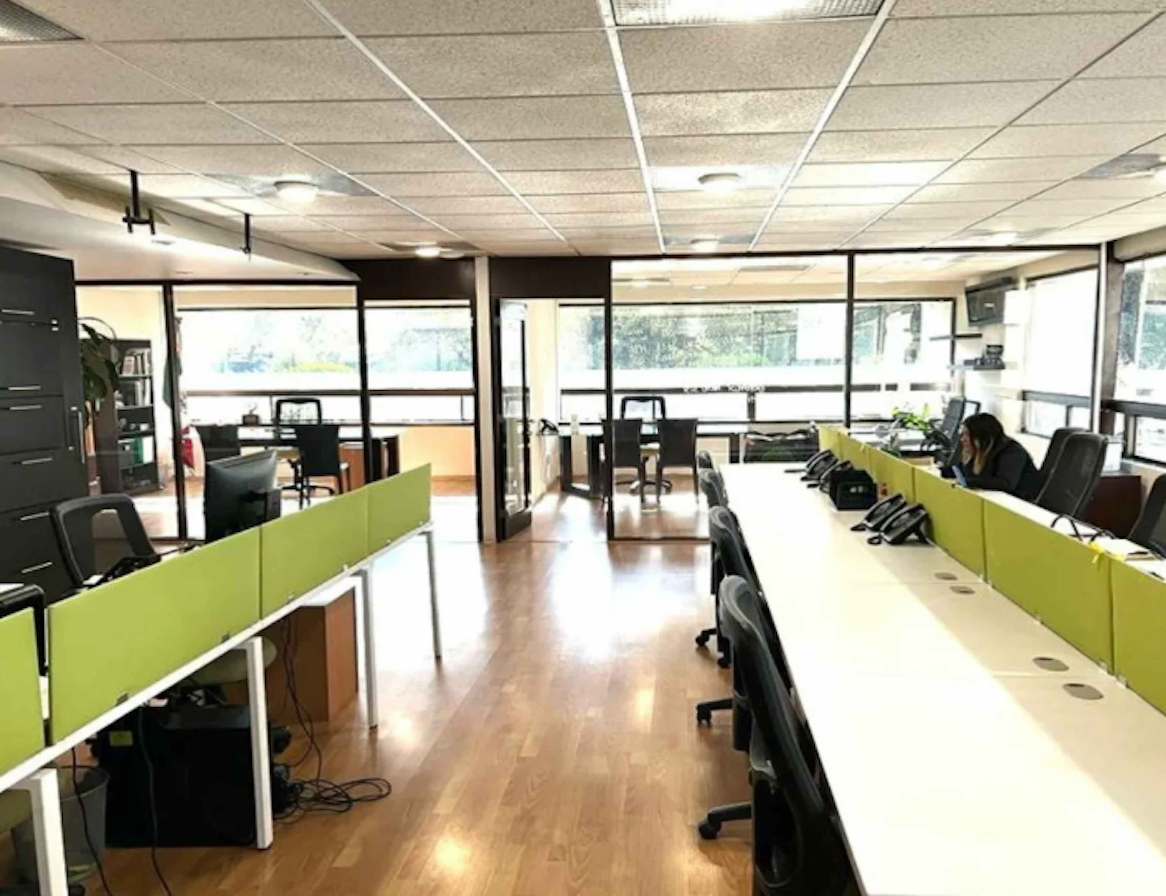 Bosque De La Reforma