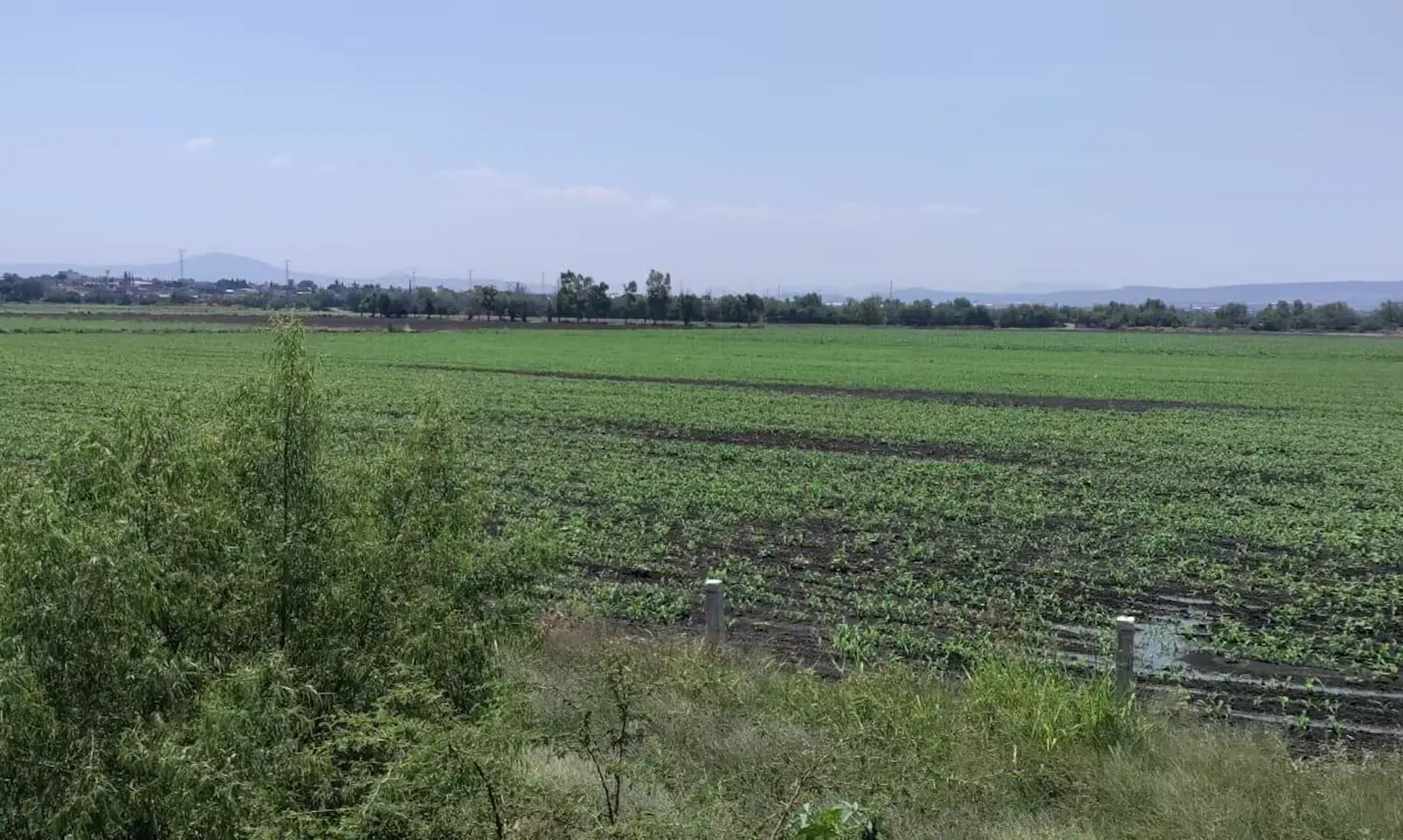 Terreno en venta en Hacienda Castillo, Apaseo El Grande, Guanajuato