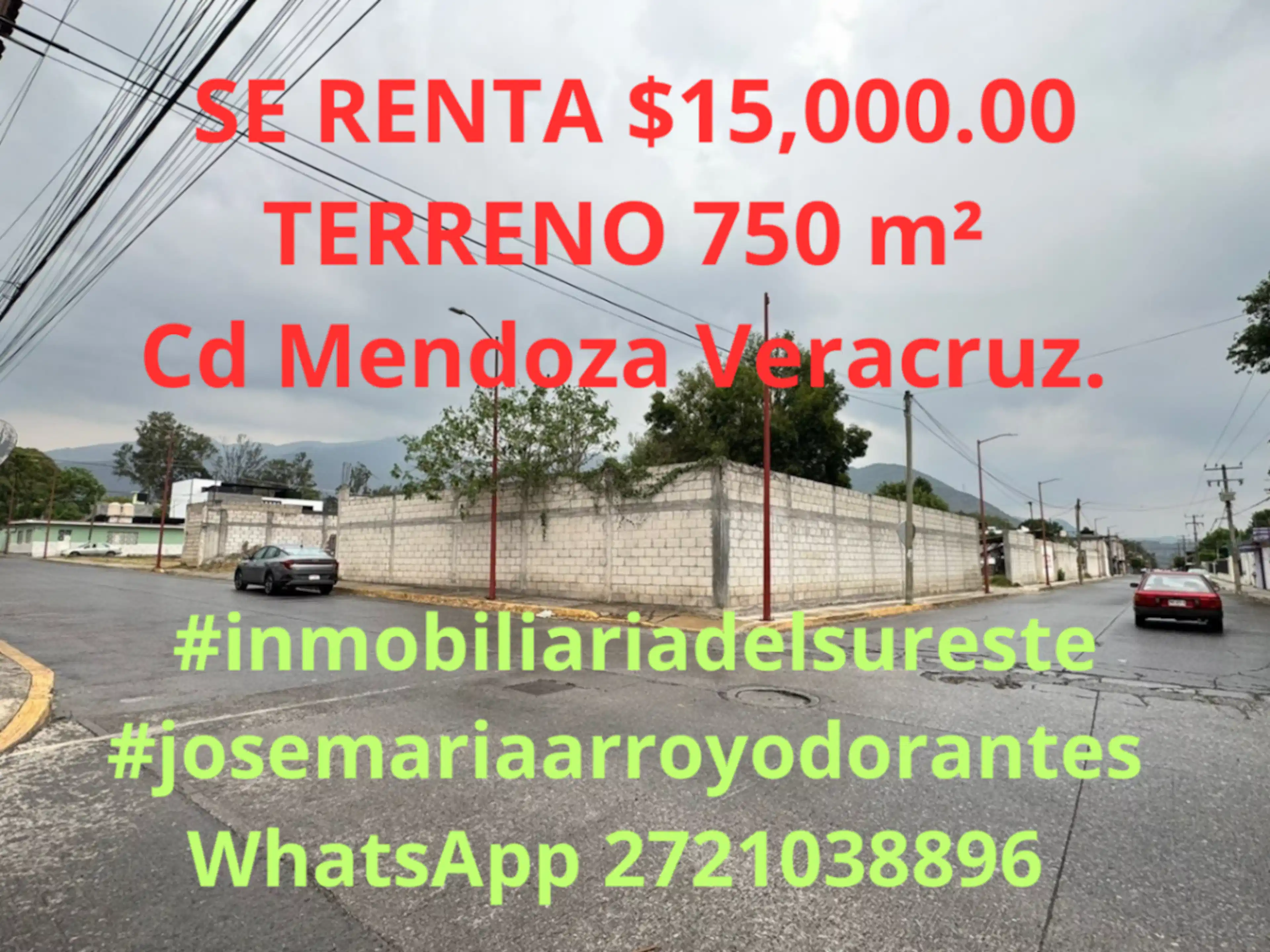 Terreno En Renta En Ciudad Mendoza Centro, Camerino Z. Mendoza, Veracruz De Ignacio De La Llave