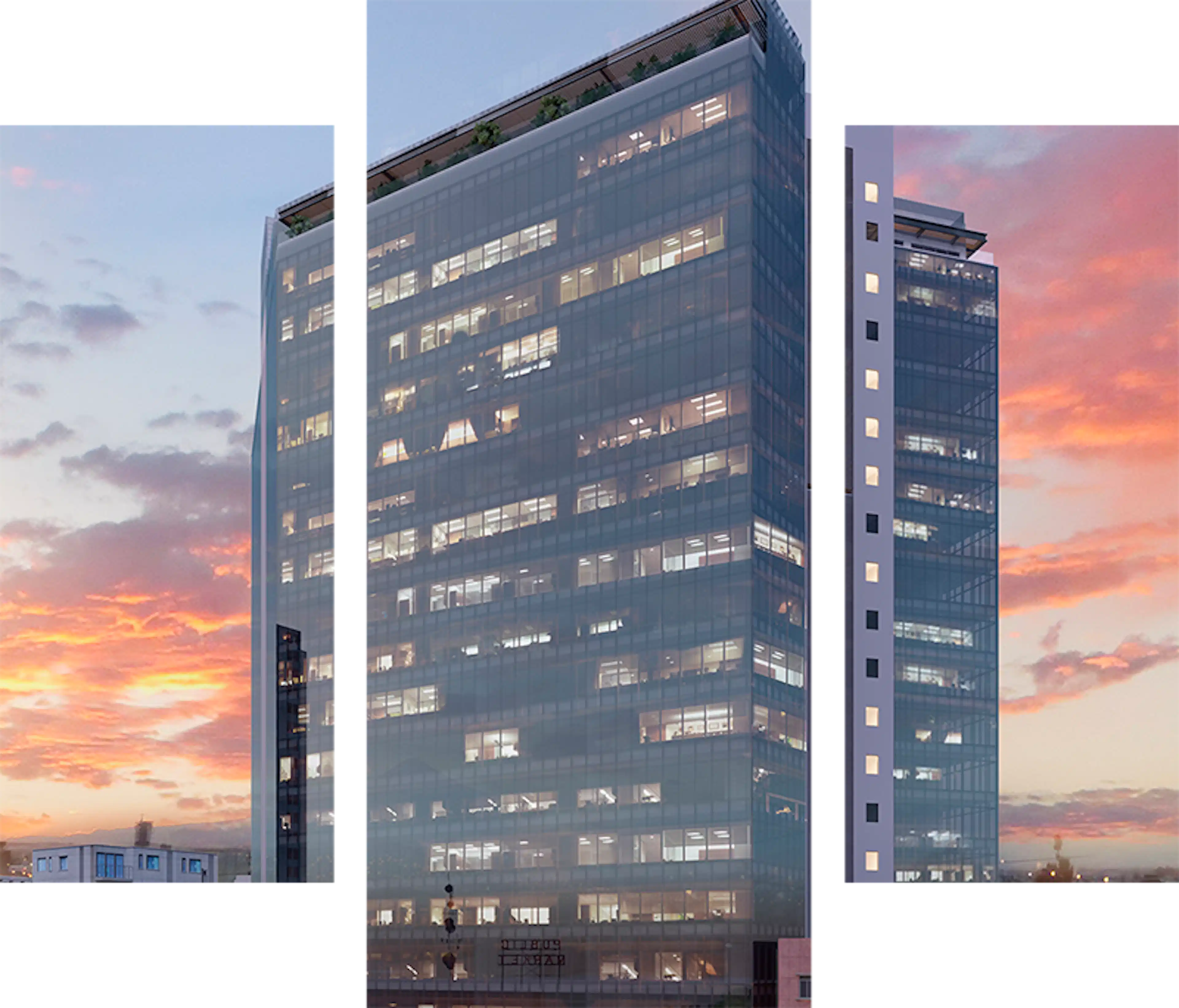 Avenida Insurgentes Sur