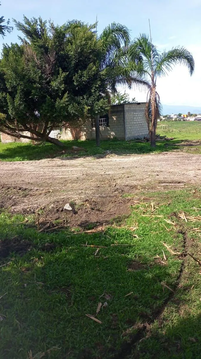 Terreno Spot2