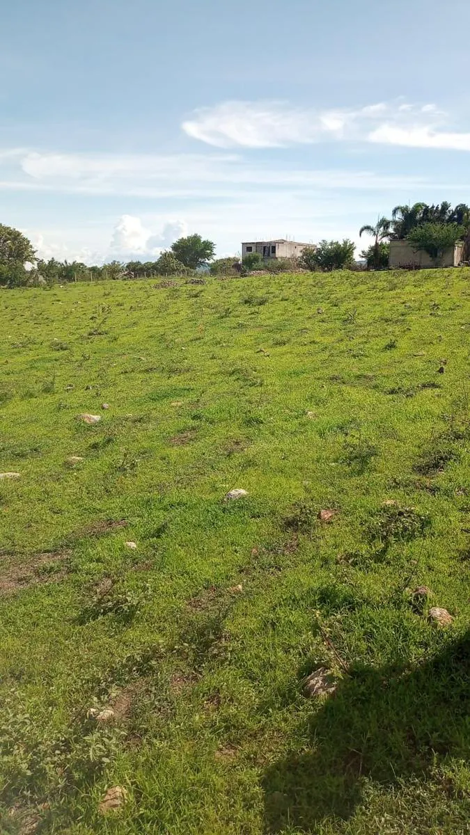 Terreno Spot2