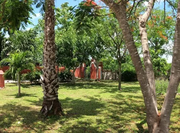 Terreno Spot2