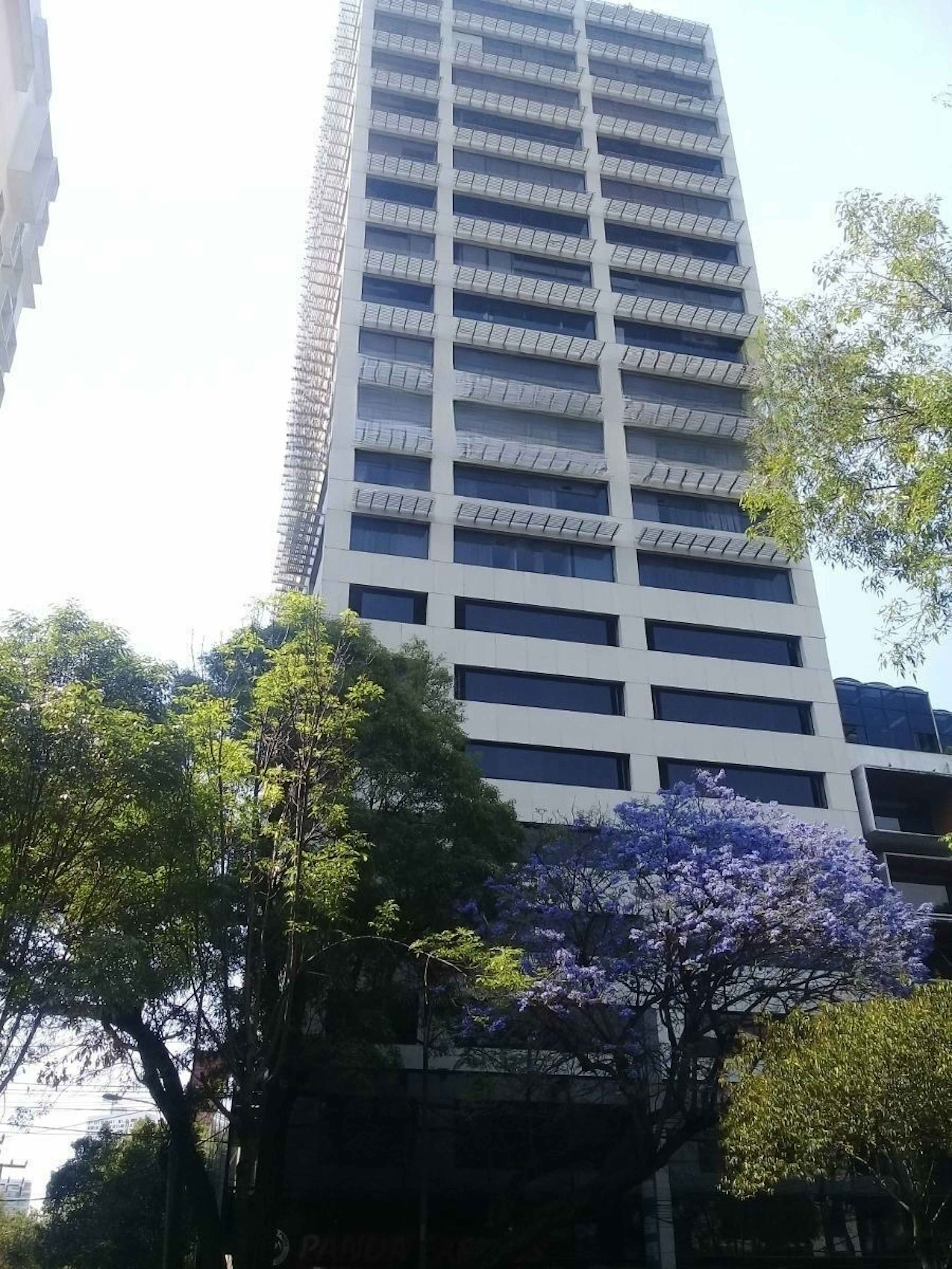 Avenida Insurgentes Sur Exteri