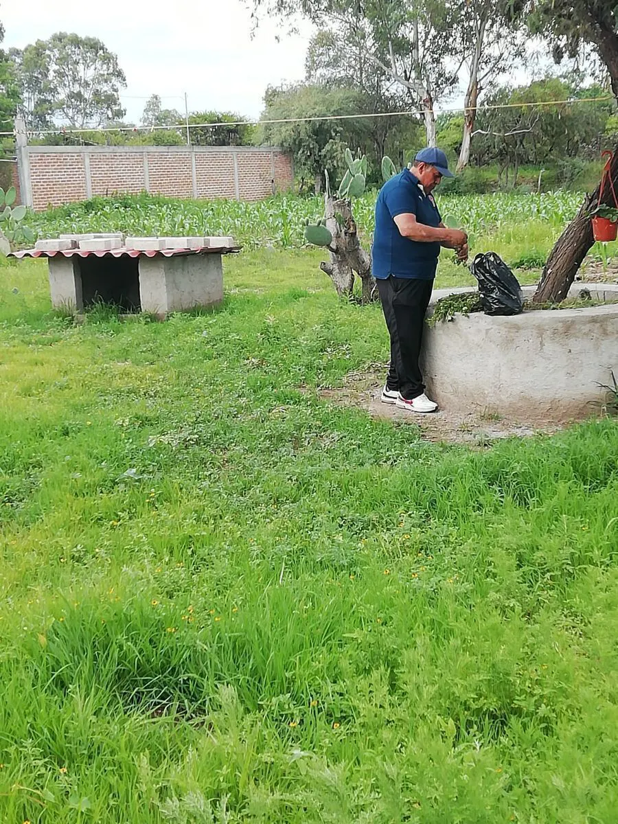 Terreno Spot2