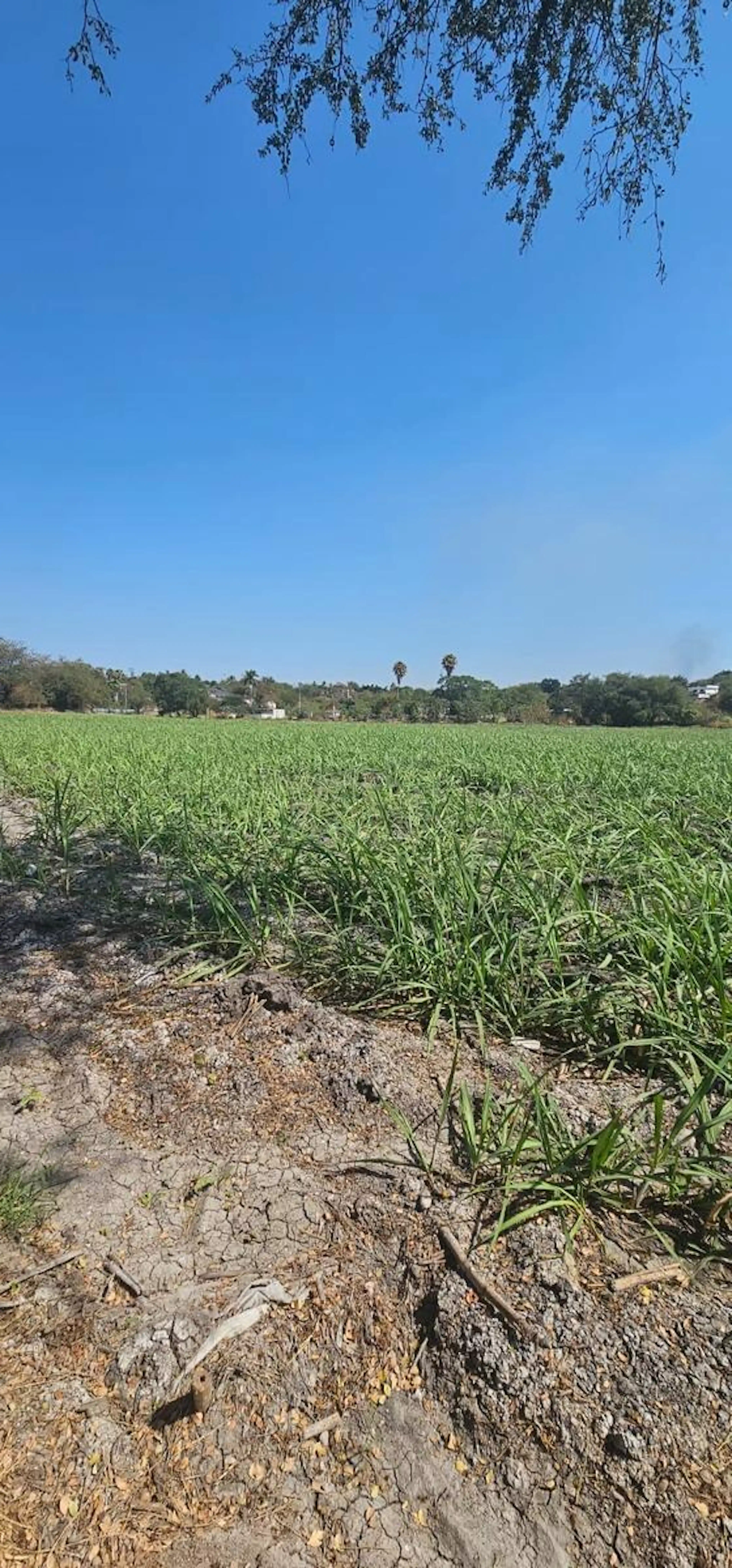 Terreno En Venta Poza Honda Zacatepec Morelos.