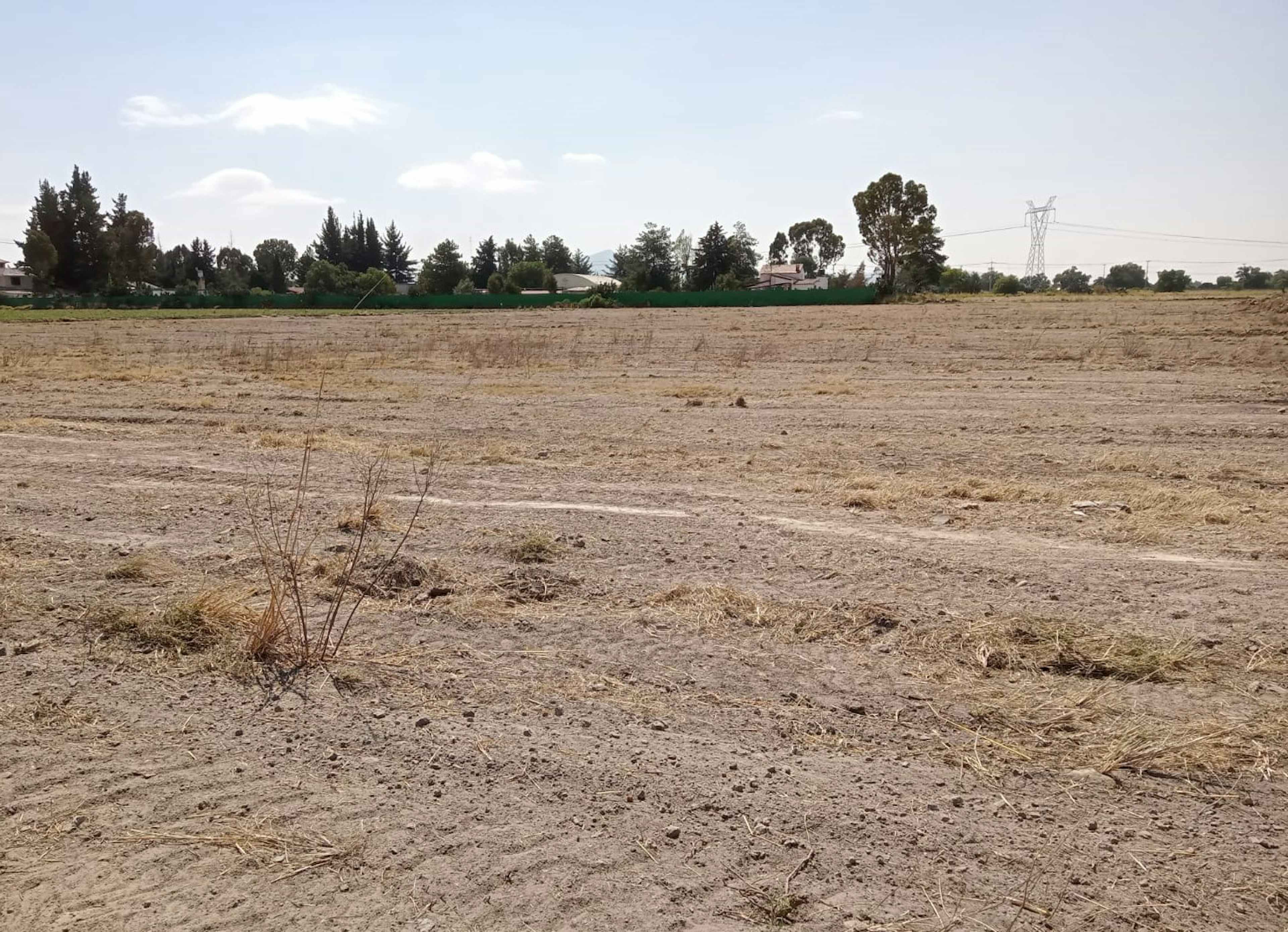 Mineral De La Reforma