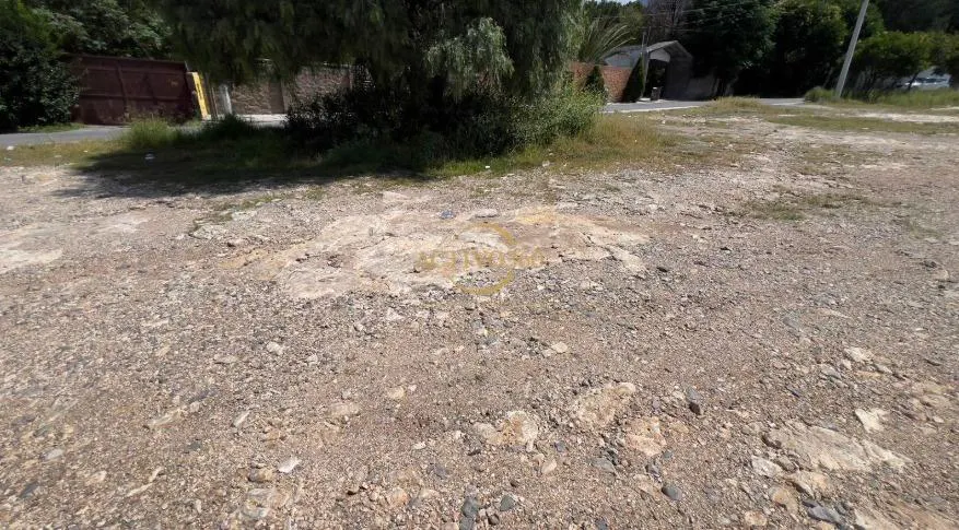 Terreno Spot2