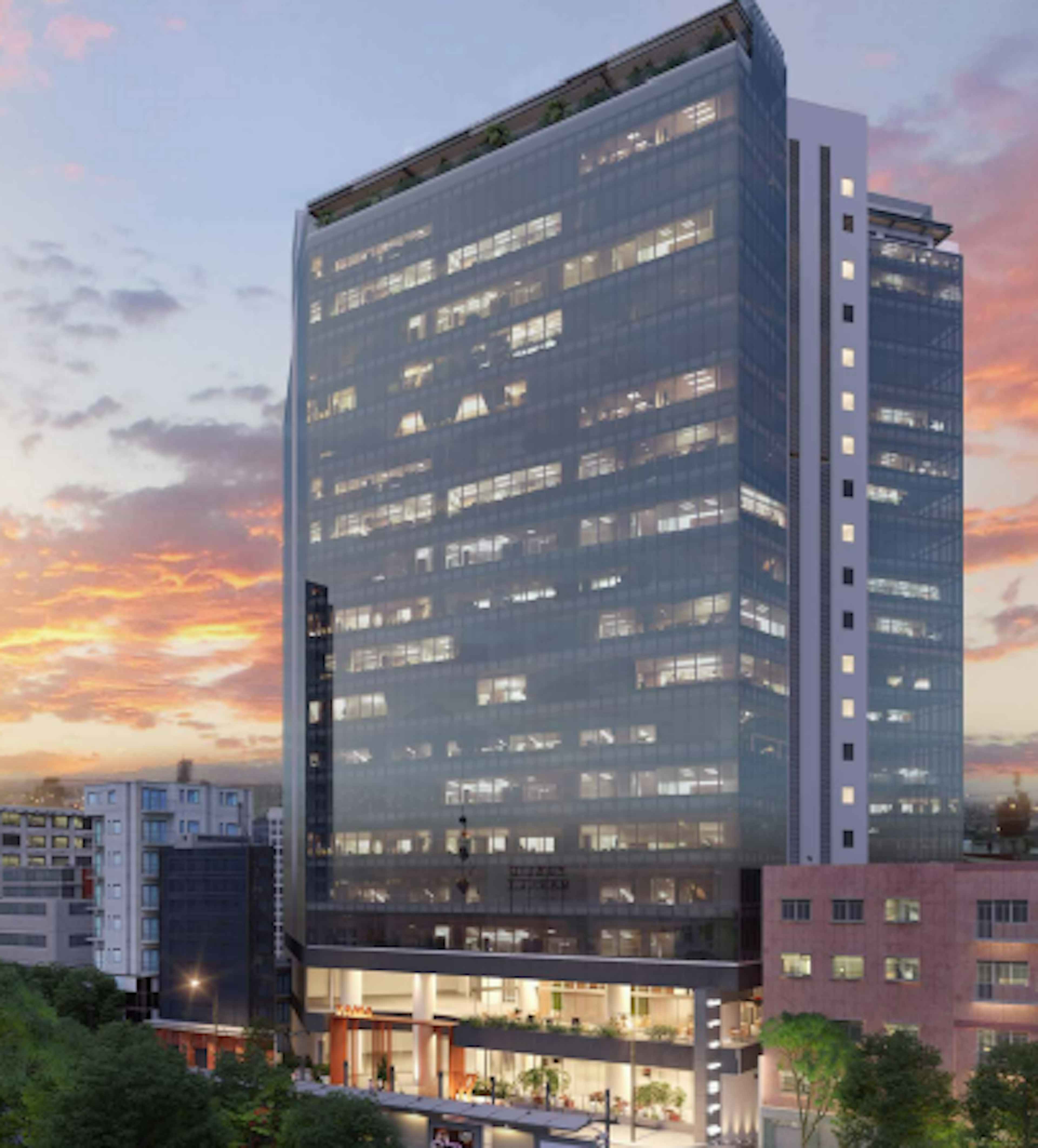 Yama Insurgentes Reforma