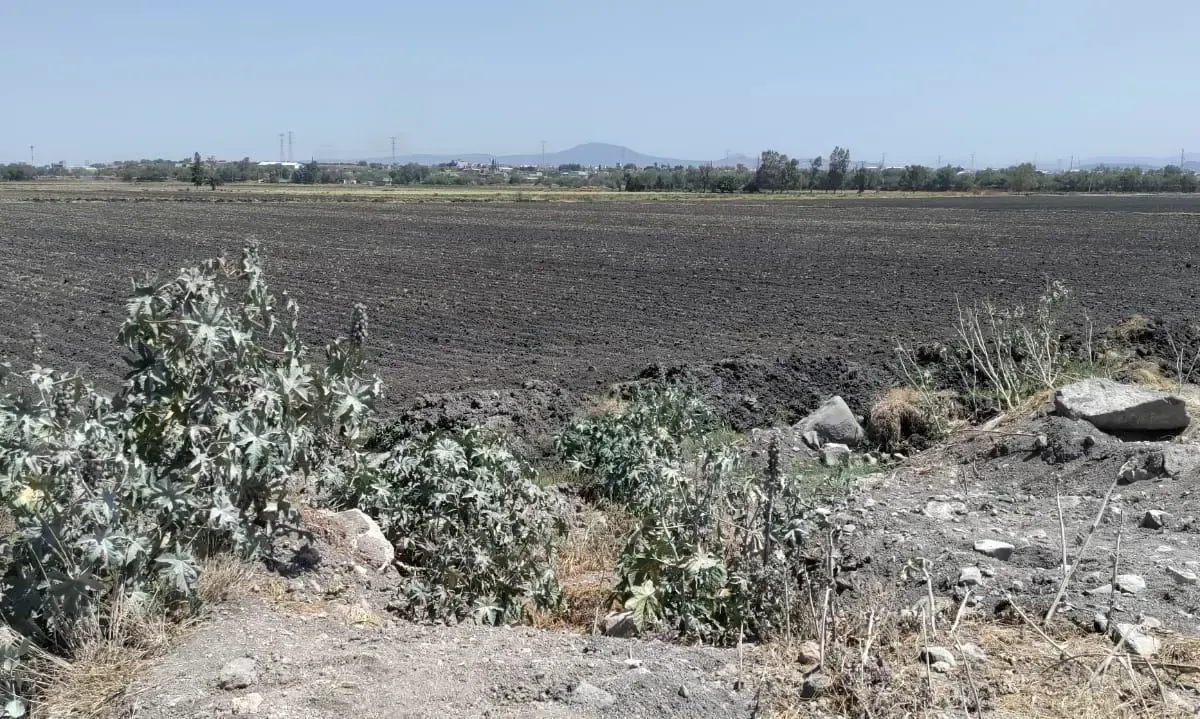 Terreno Spot2