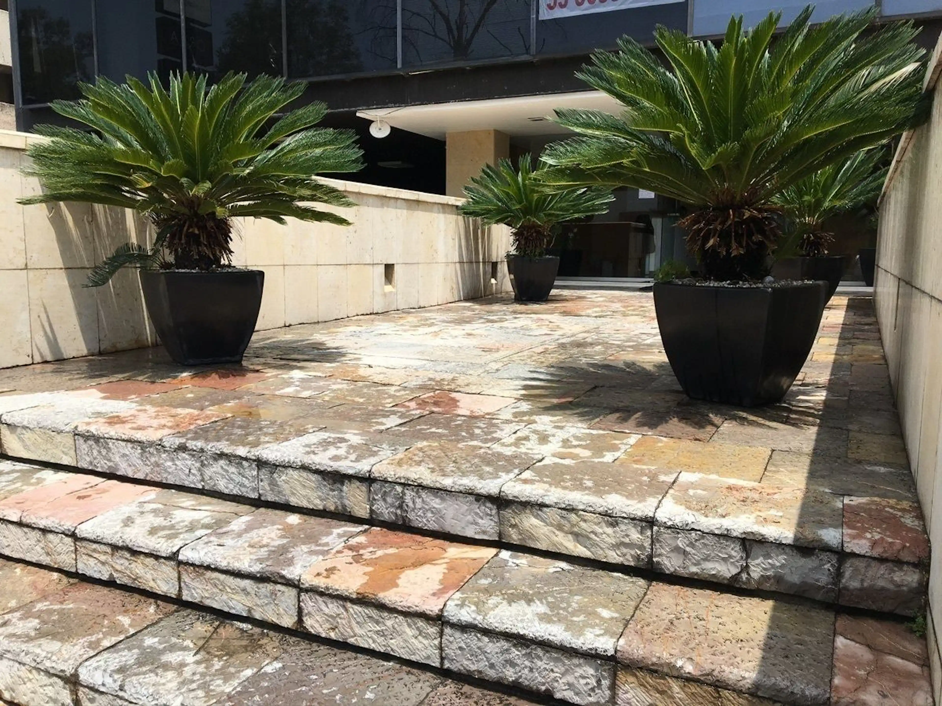 Oficina En Renta Bosques De Las Lomas Cdmx