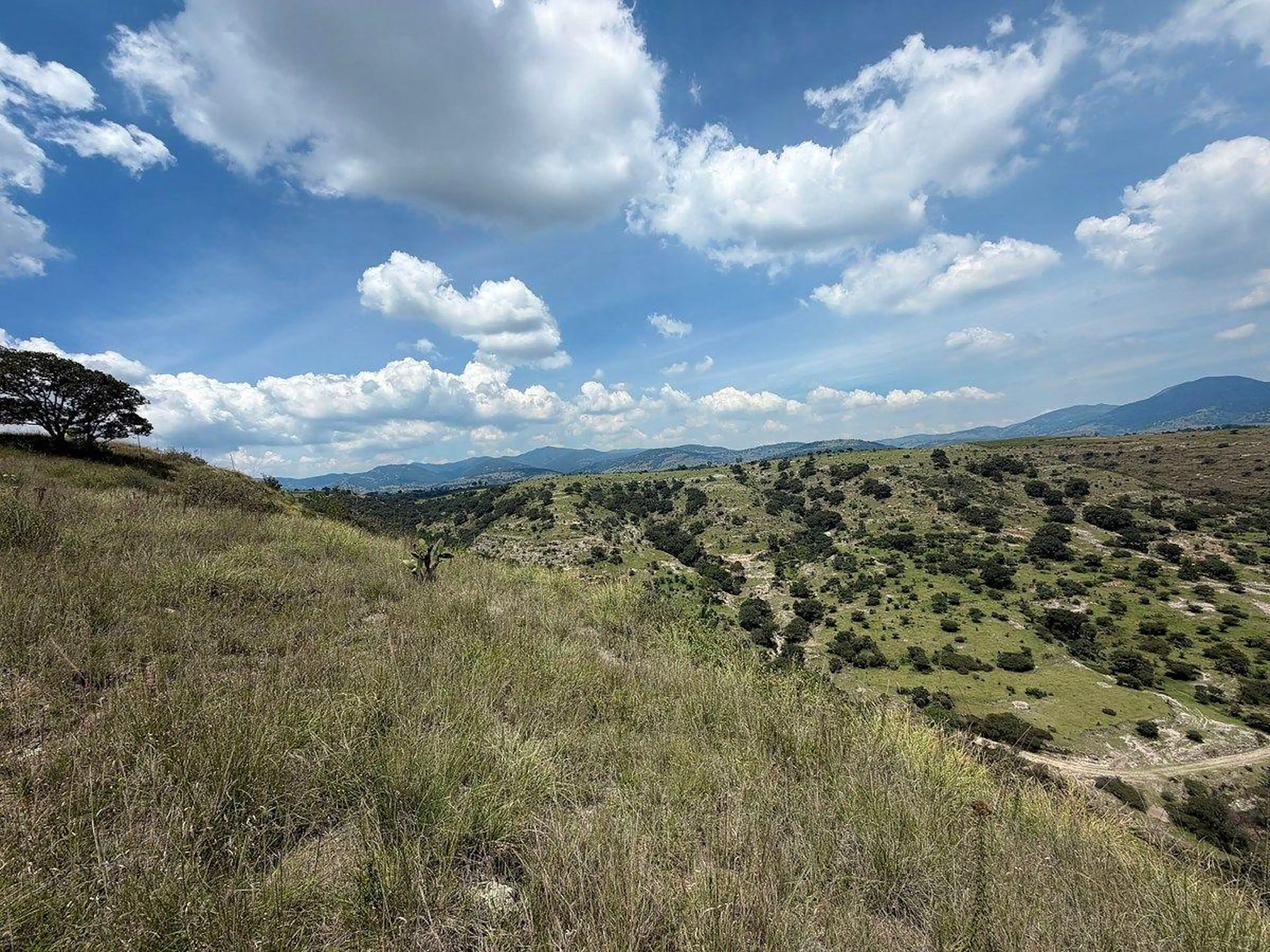 VENTA TERRENO EN EL PALOMAR, VILLA DEL CARBÓN