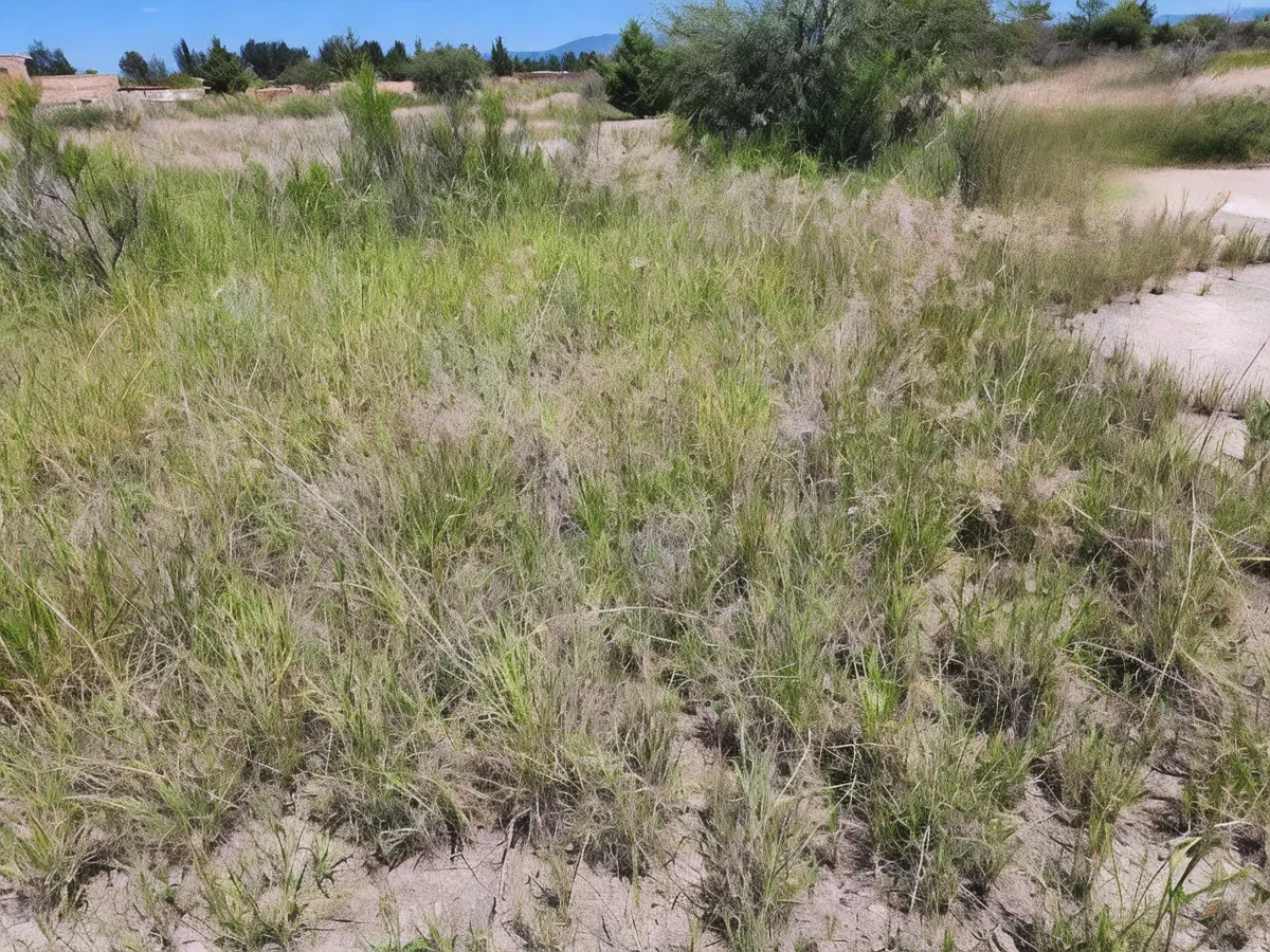 Terreno Spot2