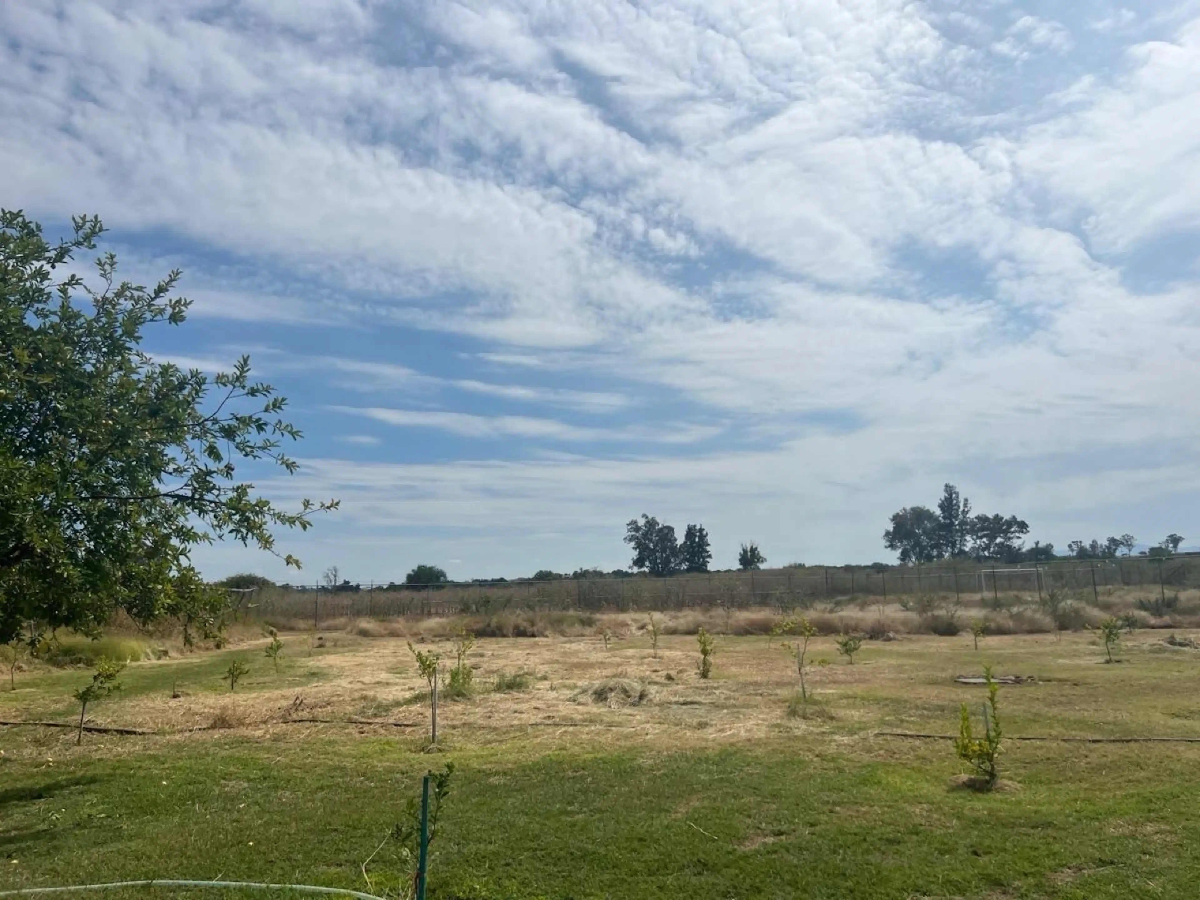 Terreno - Ejido Nuevo México